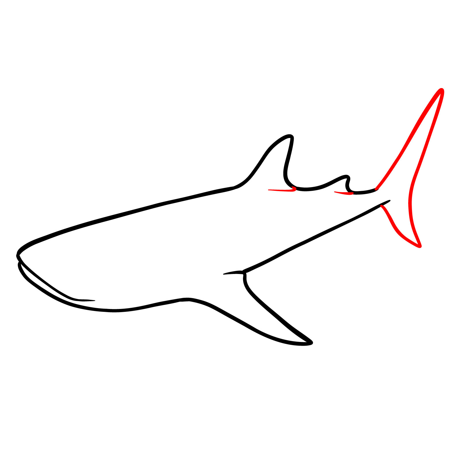 How to draw a whale shark, step 5, drawing the tail fin and adding lines to the dorsal fins