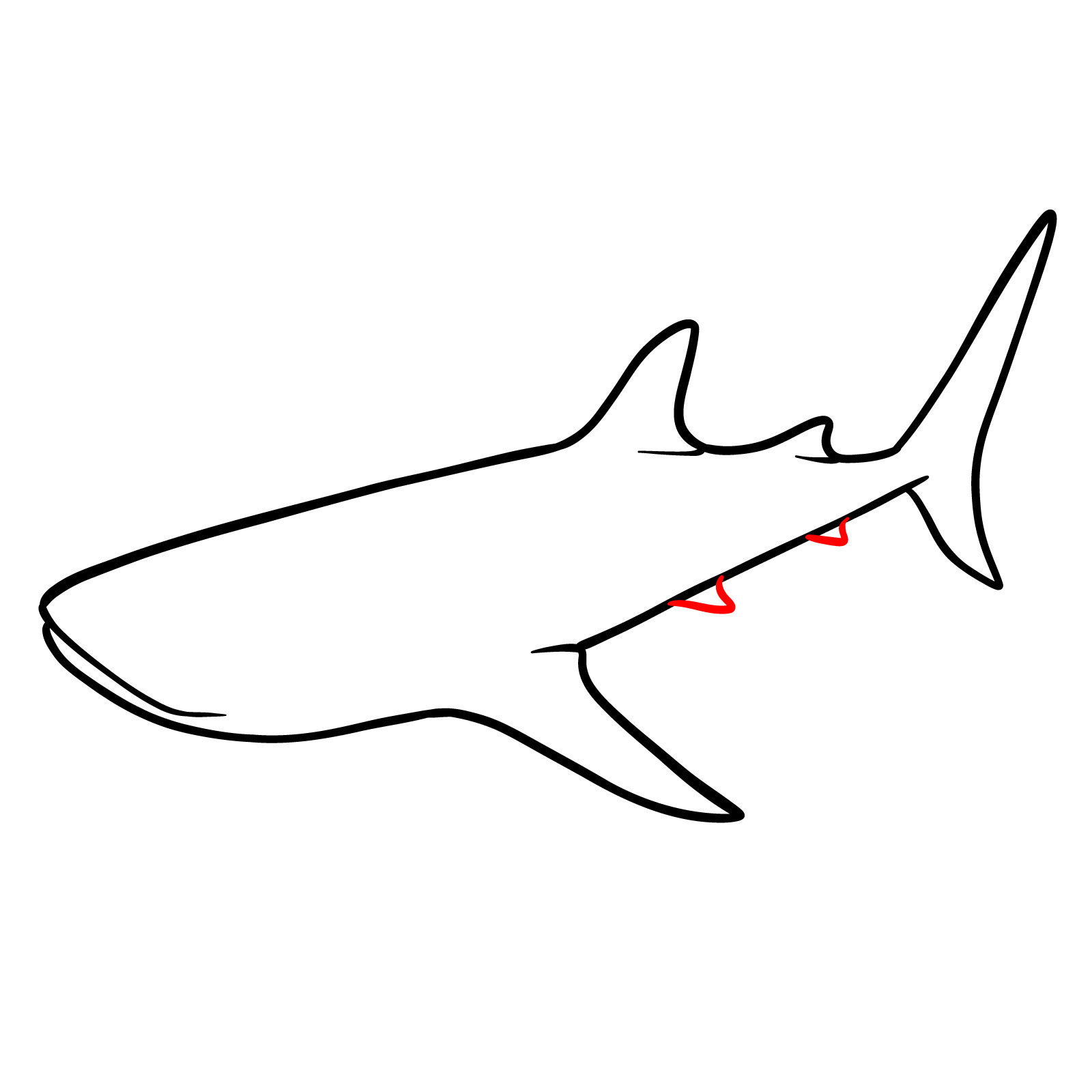 How to draw a whale shark, step 6, adding the pelvic fins