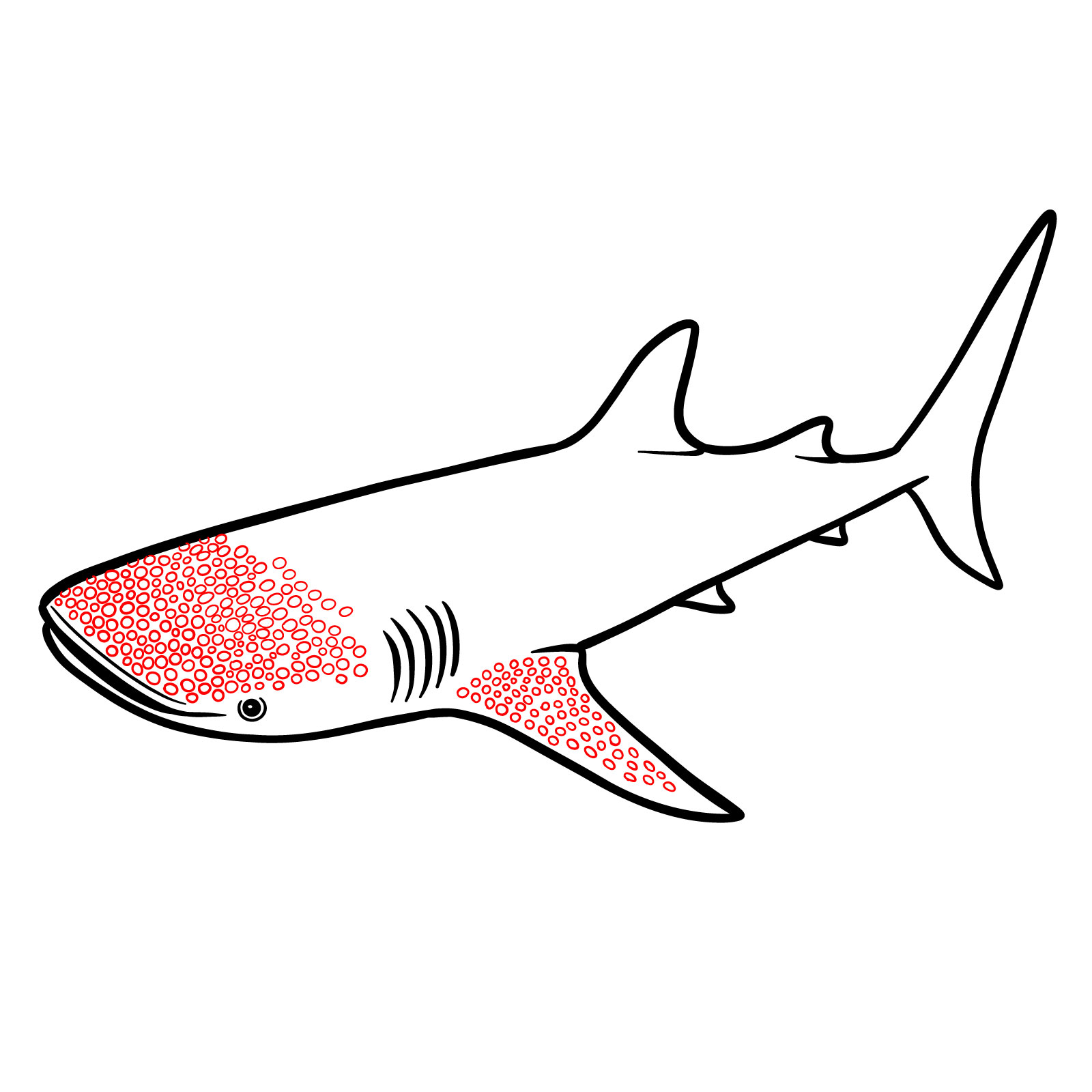 How to draw a whale shark, step 9, adding small circles for the spotted pattern