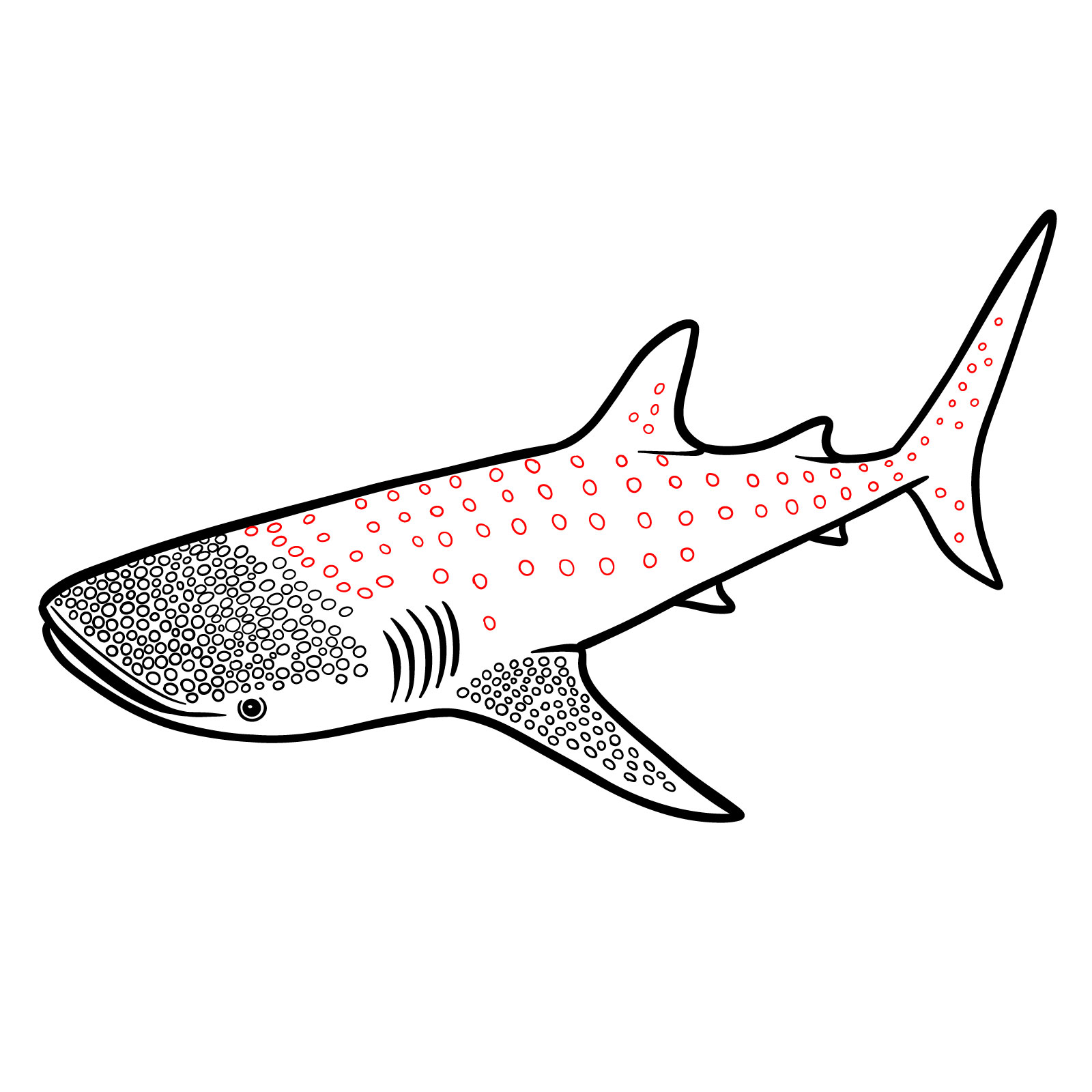 How to draw a whale shark, step 10, adding larger and smaller circles for the pattern