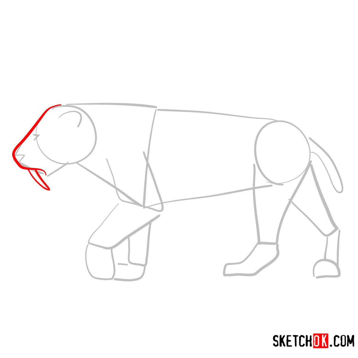 How to draw a Smilodon | Extinct Animals - step 03