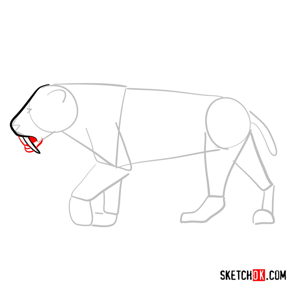How to draw a Smilodon | Extinct Animals - step 04