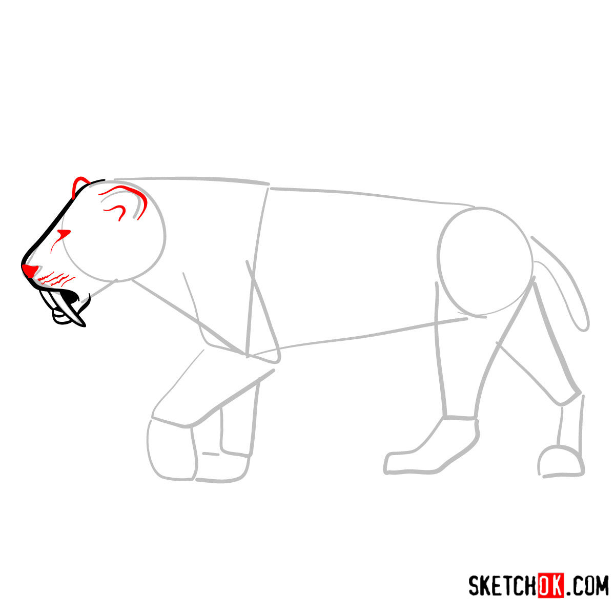 How to draw a Smilodon | Extinct Animals - step 05