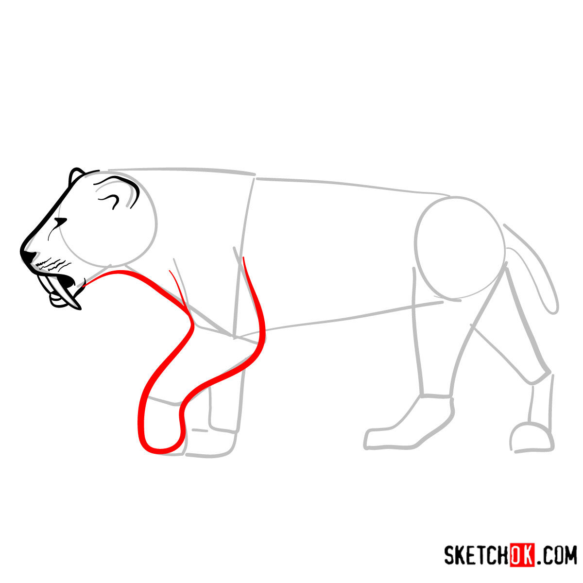How to draw a Smilodon | Extinct Animals - step 06