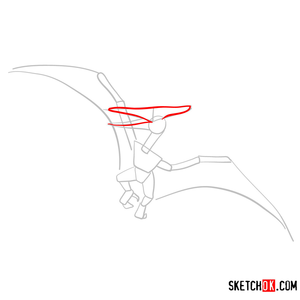 How to draw a Pterodactylus | Extinct Animals - step 03
