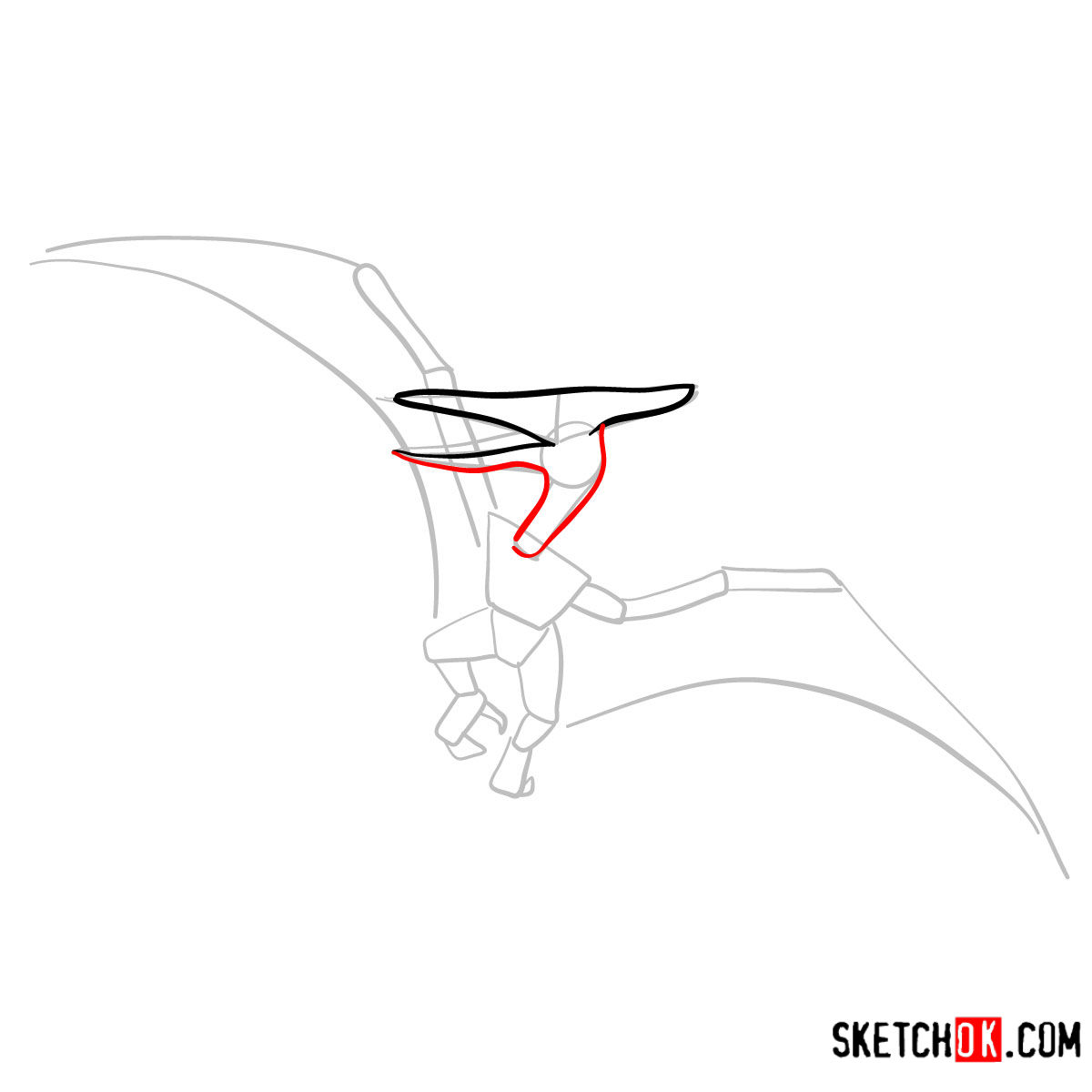 How to draw a Pterodactylus | Extinct Animals - step 04
