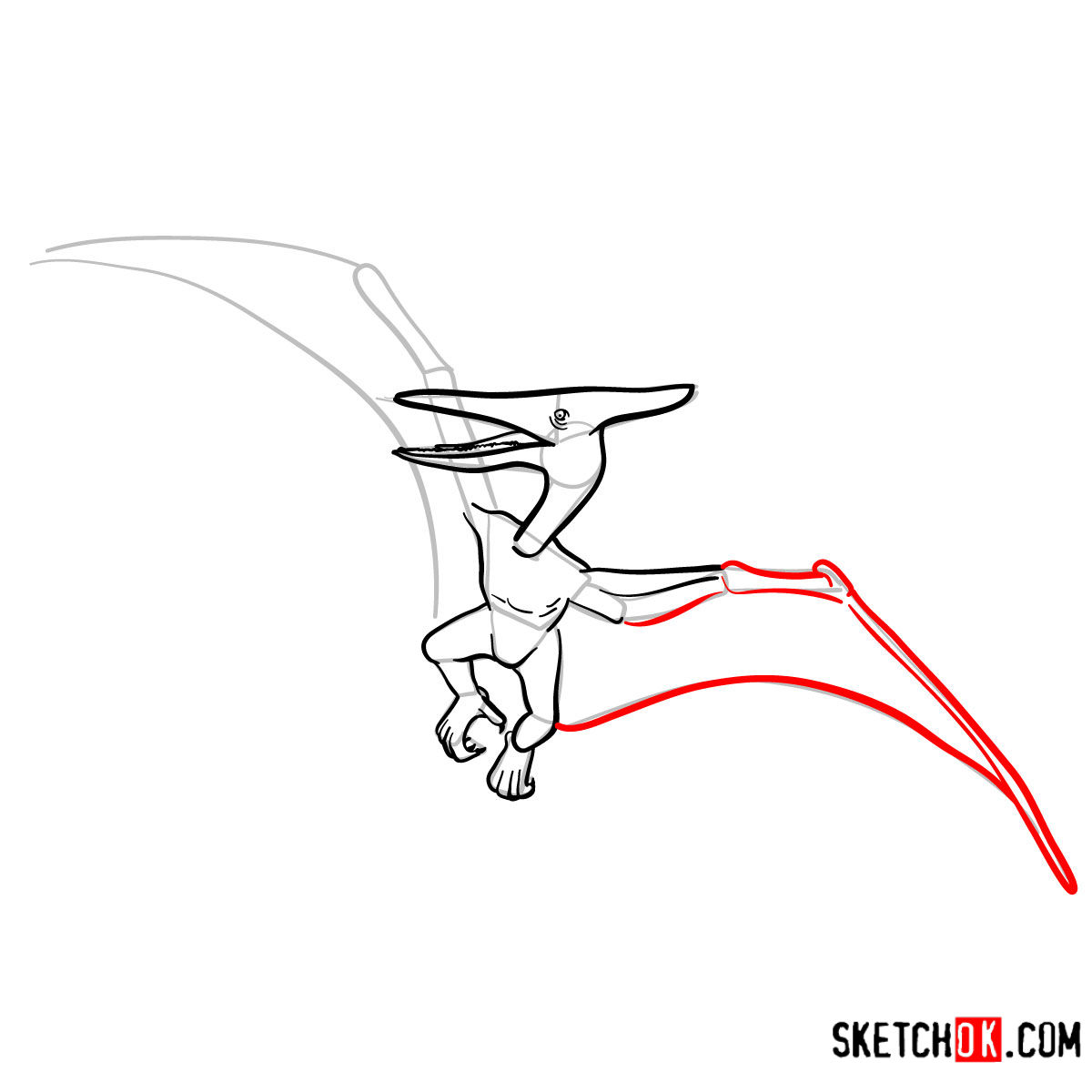 How to draw a Pterodactylus | Extinct Animals - step 09