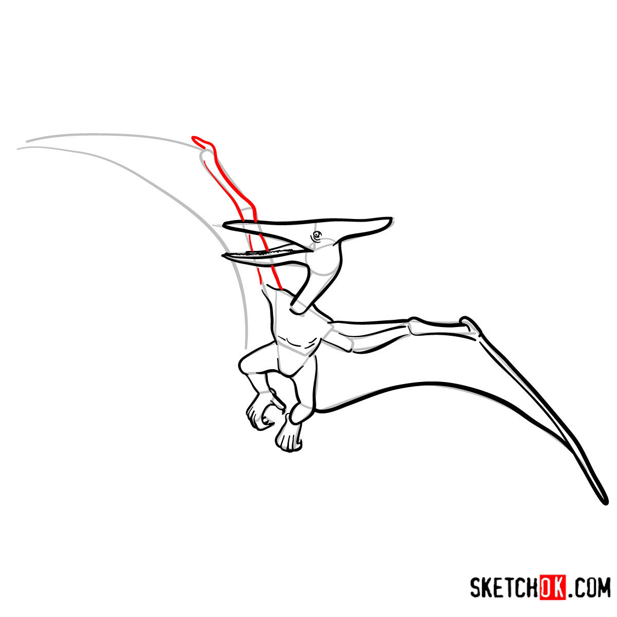 How to draw a Pterodactylus | Extinct Animals - step 10