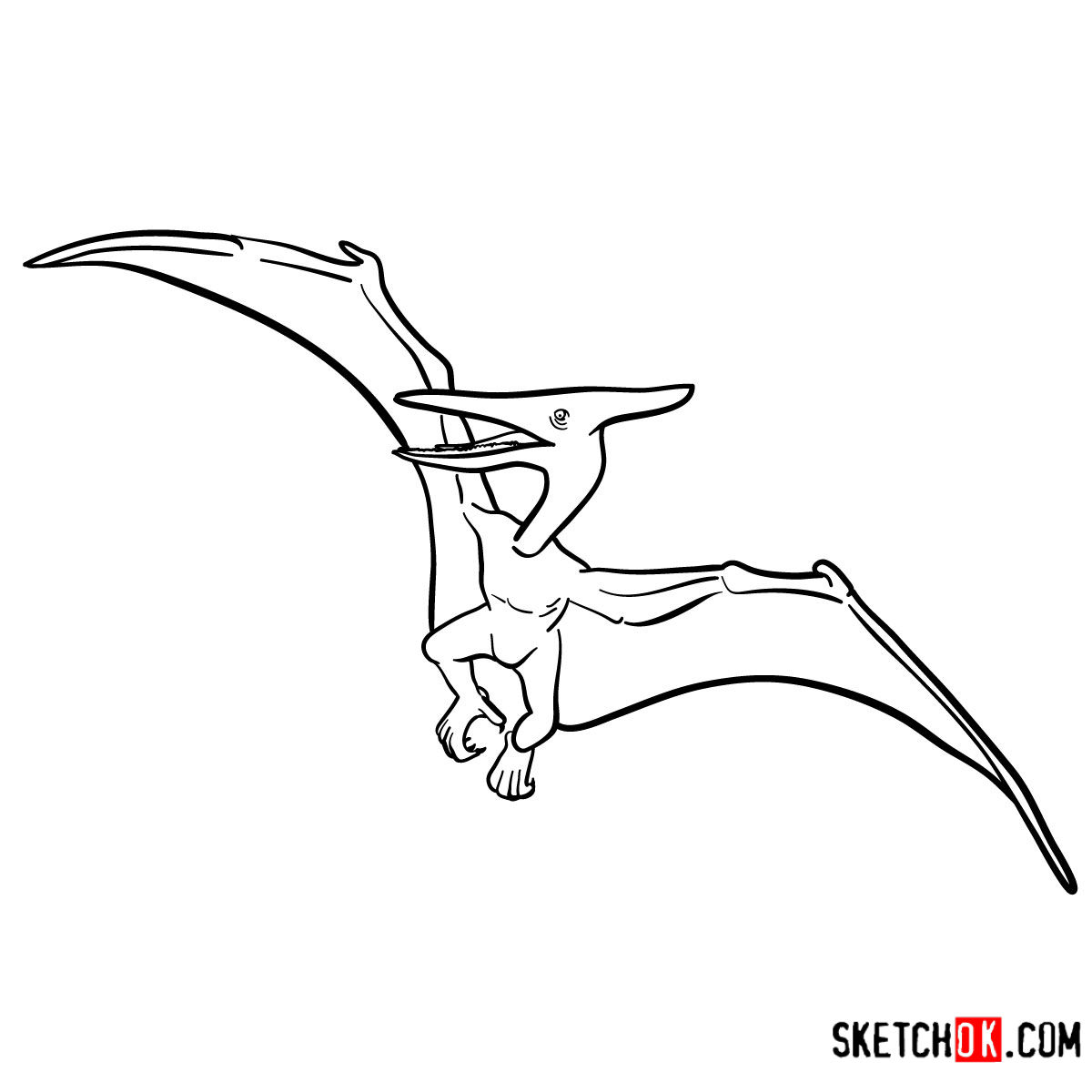 How to draw a Pterodactylus