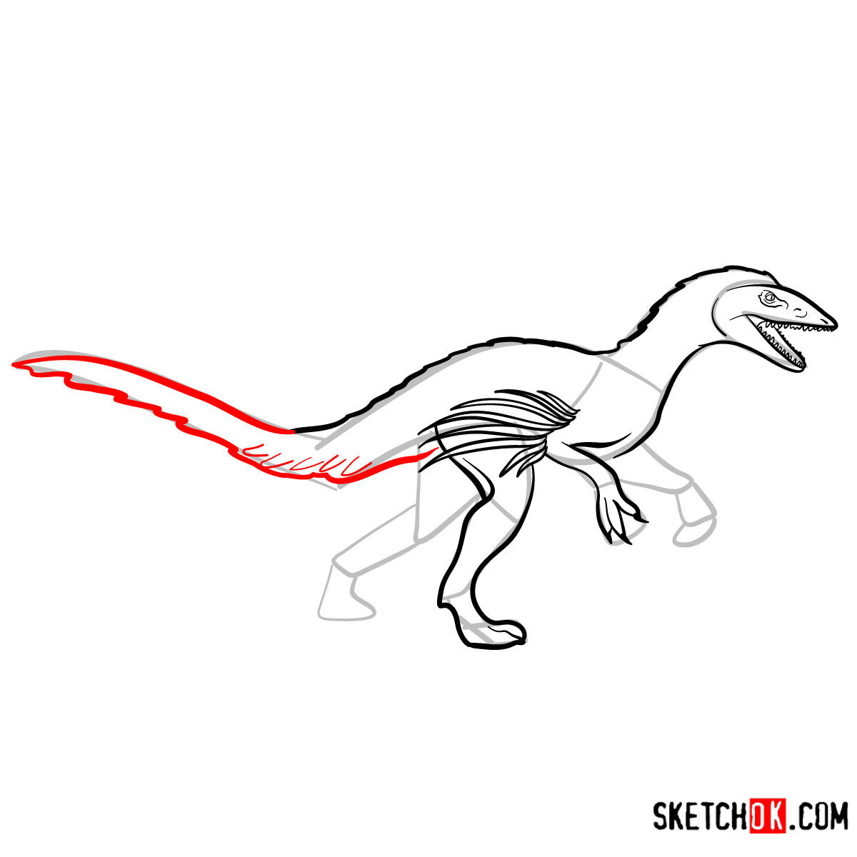 How to draw a Troodon | Extinct Animals - step 09