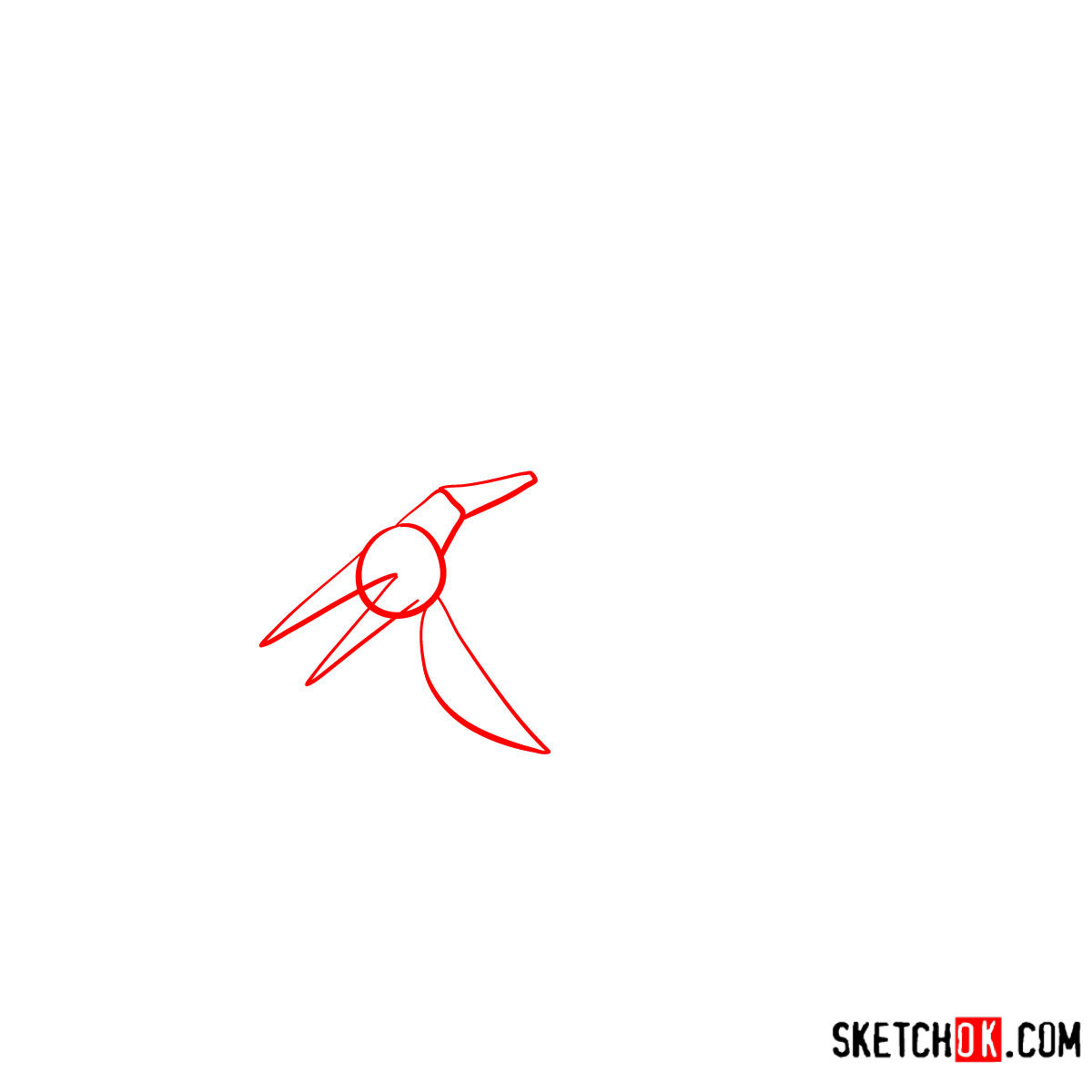 How to draw a Pteranodon | Extinct Animals - step 01