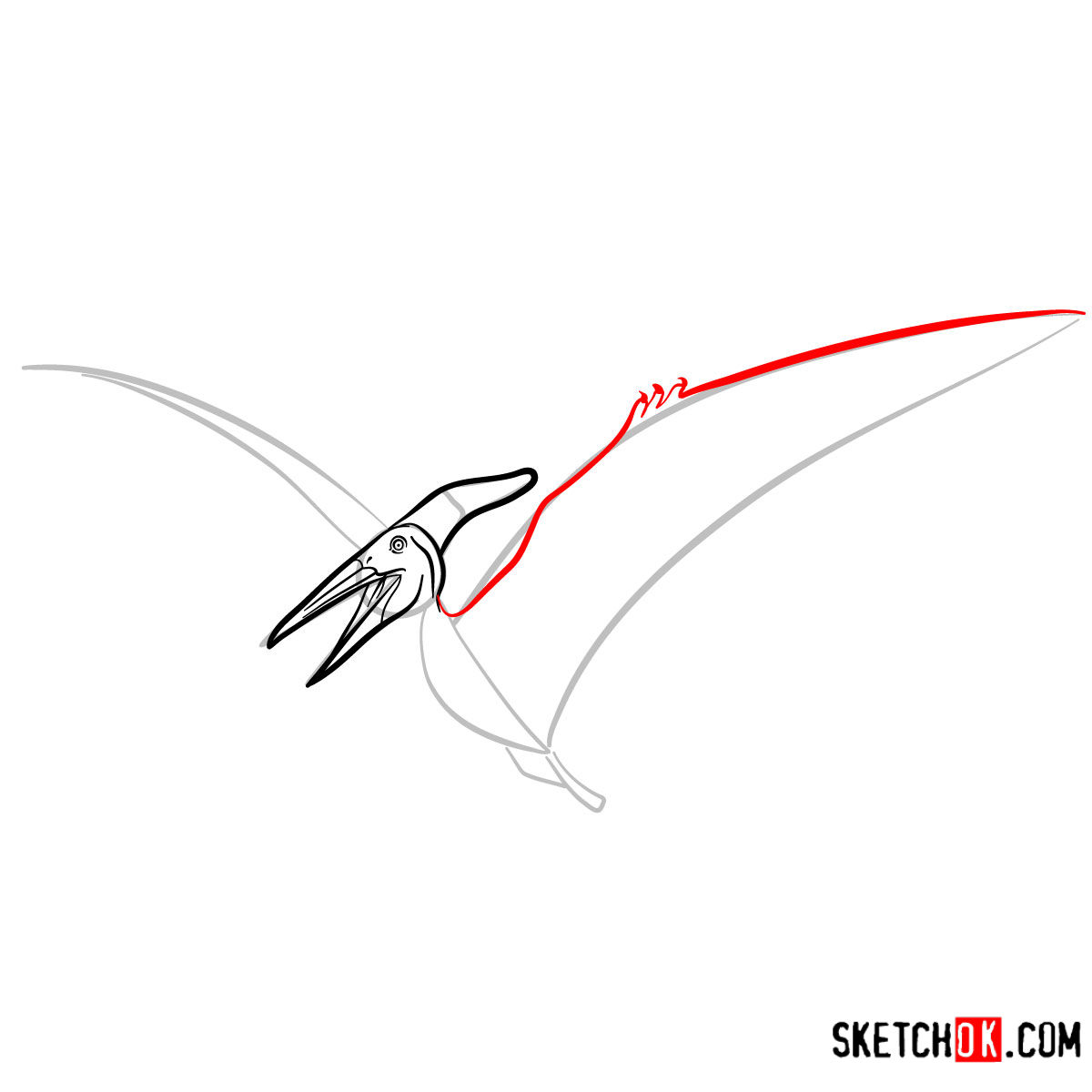 How to draw a Pteranodon | Extinct Animals - step 06