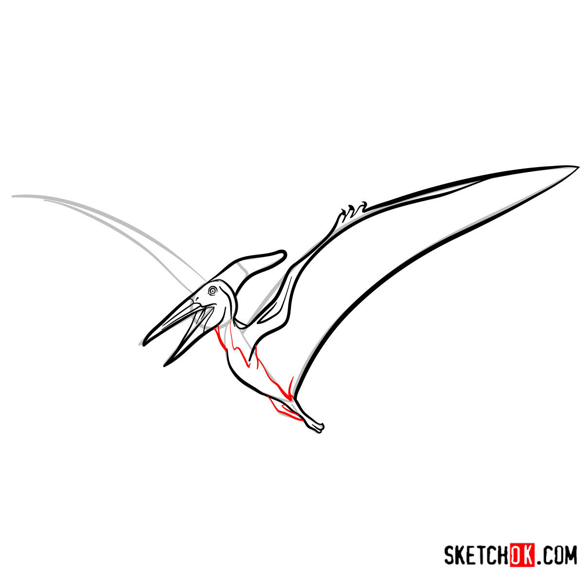 How to draw a Pteranodon | Extinct Animals - step 08