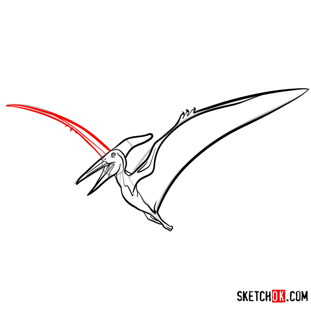 How to draw a Pteranodon | Extinct Animals - step 09