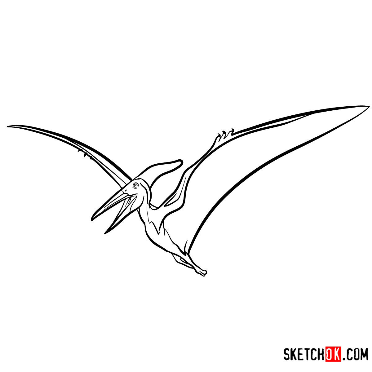 How to draw a Pteranodon
