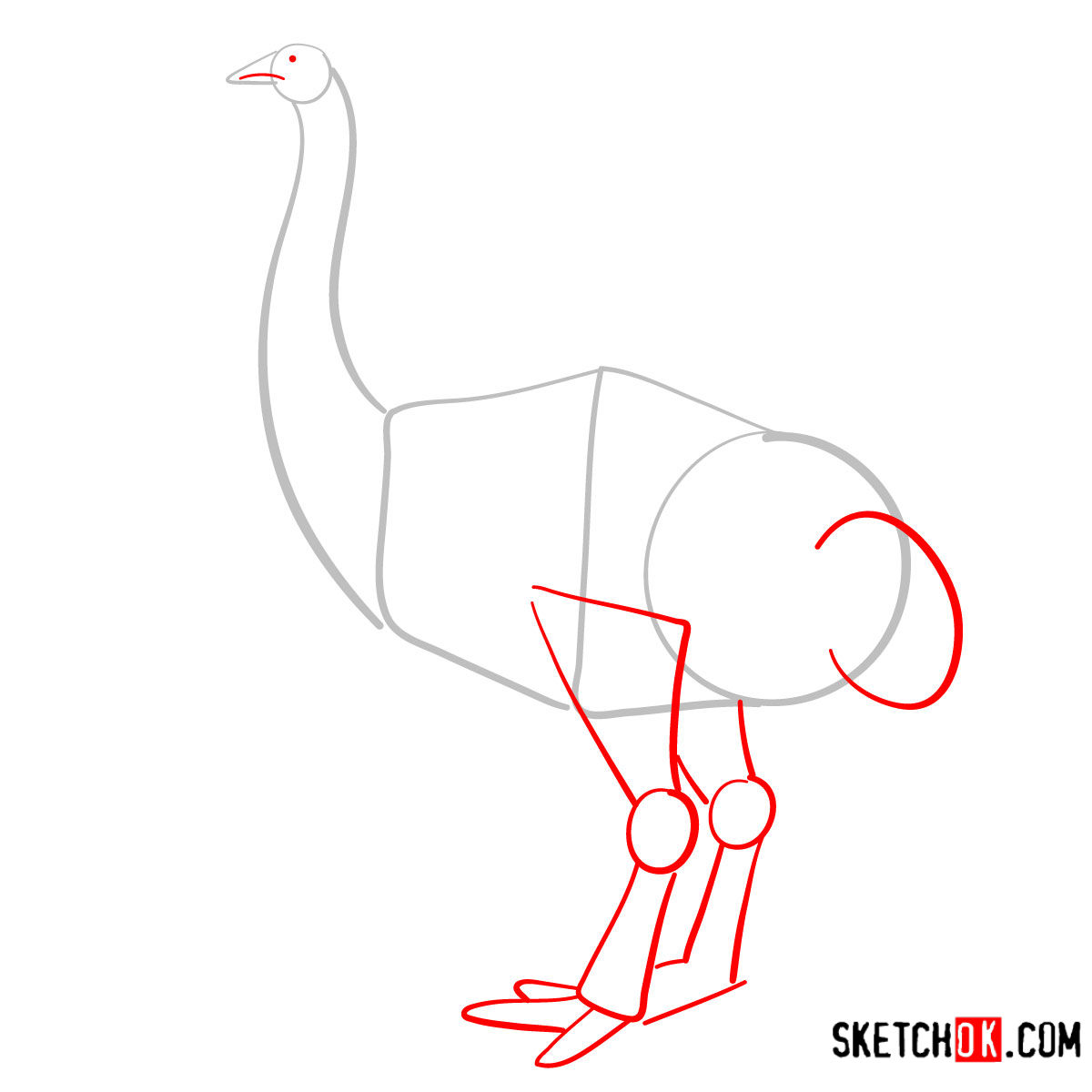How to draw a Moa | Extinct Animals - step 02