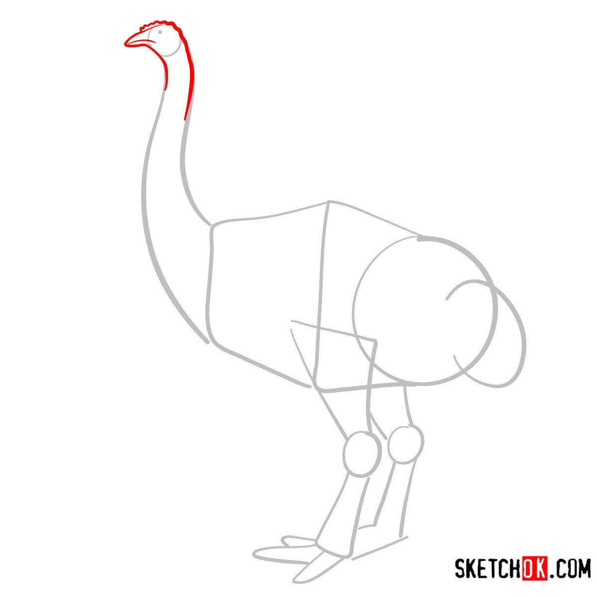 How to draw a Moa | Extinct Animals - step 03