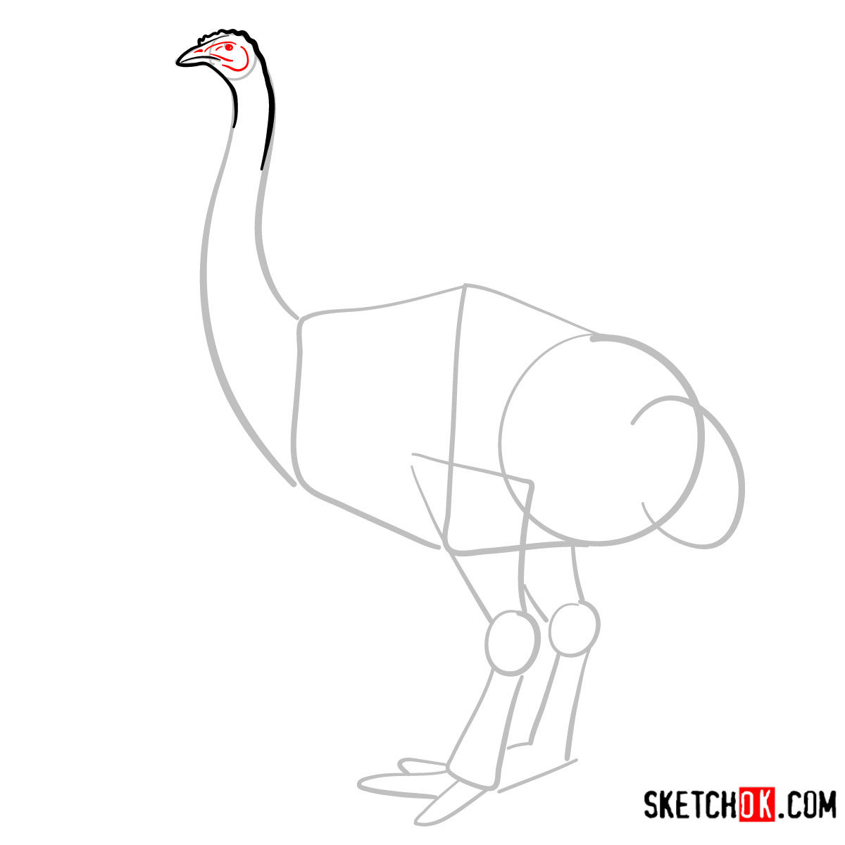 How to draw a Moa | Extinct Animals - step 04