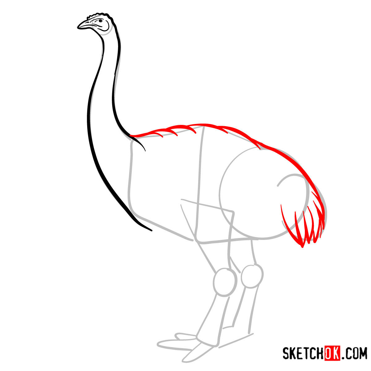 How to draw a Moa | Extinct Animals - step 06
