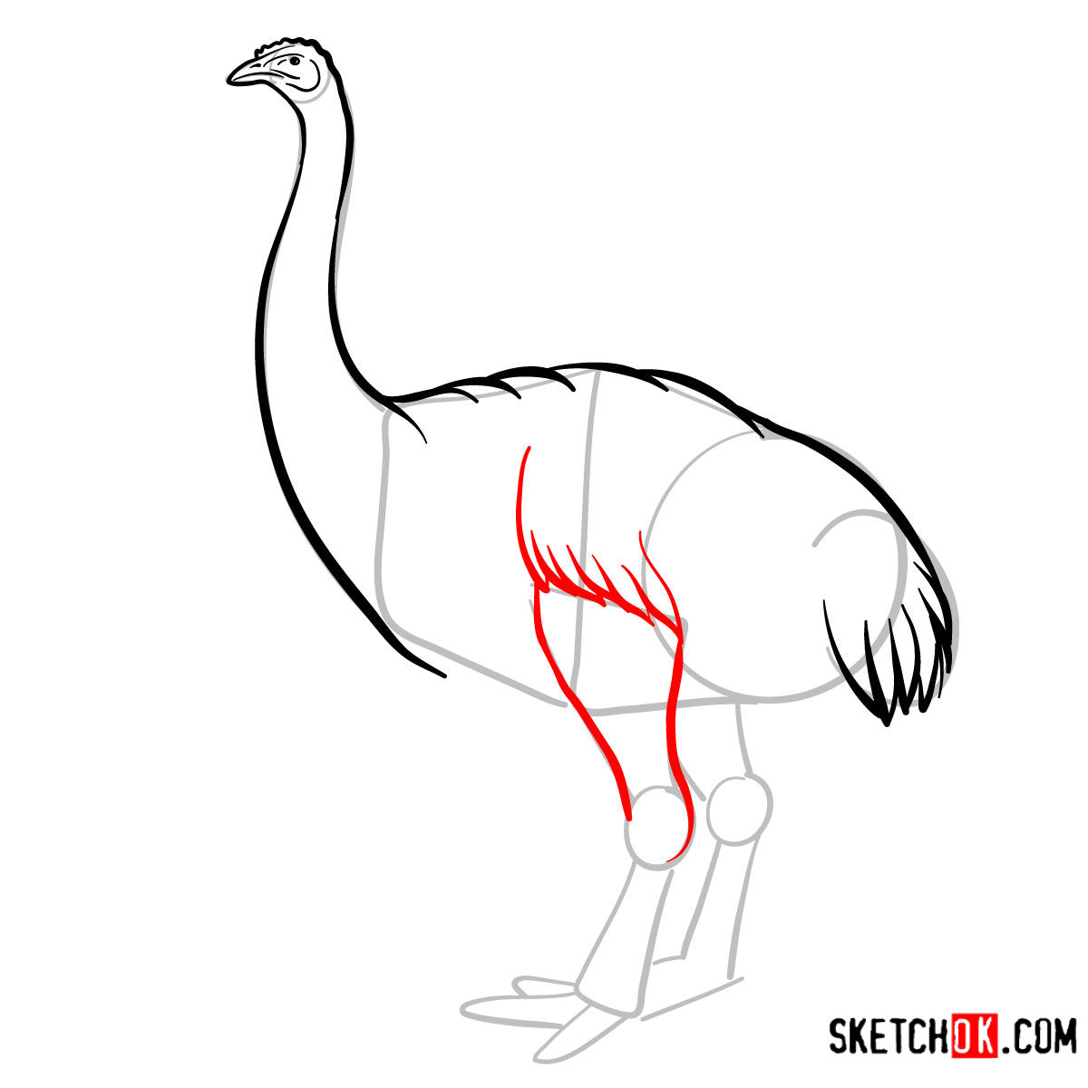 How to draw a Moa | Extinct Animals - step 07