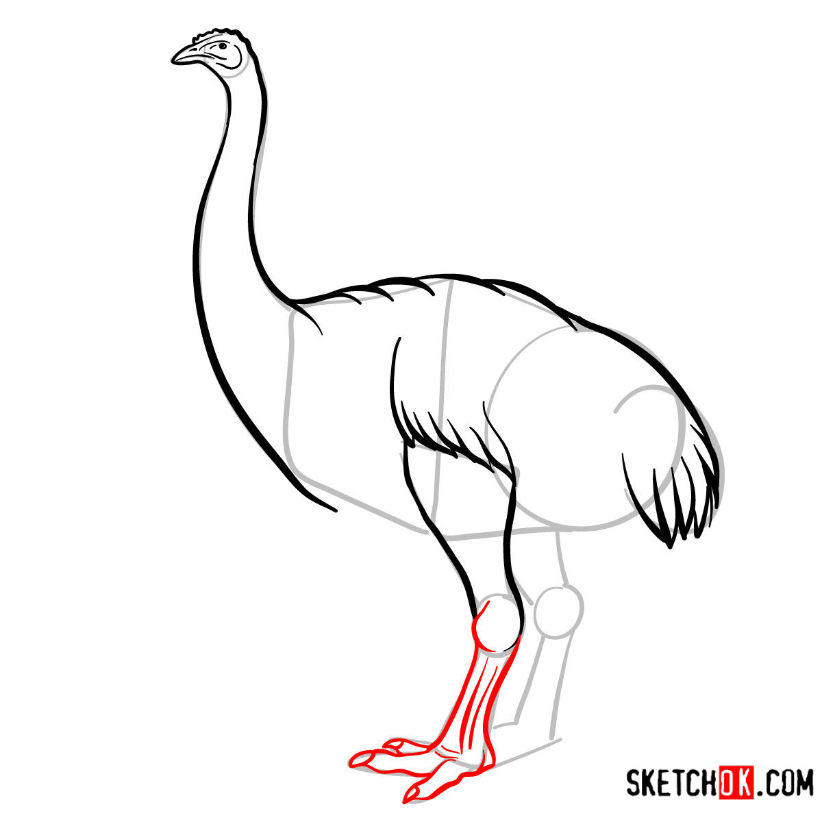 How to draw a Moa | Extinct Animals - step 08