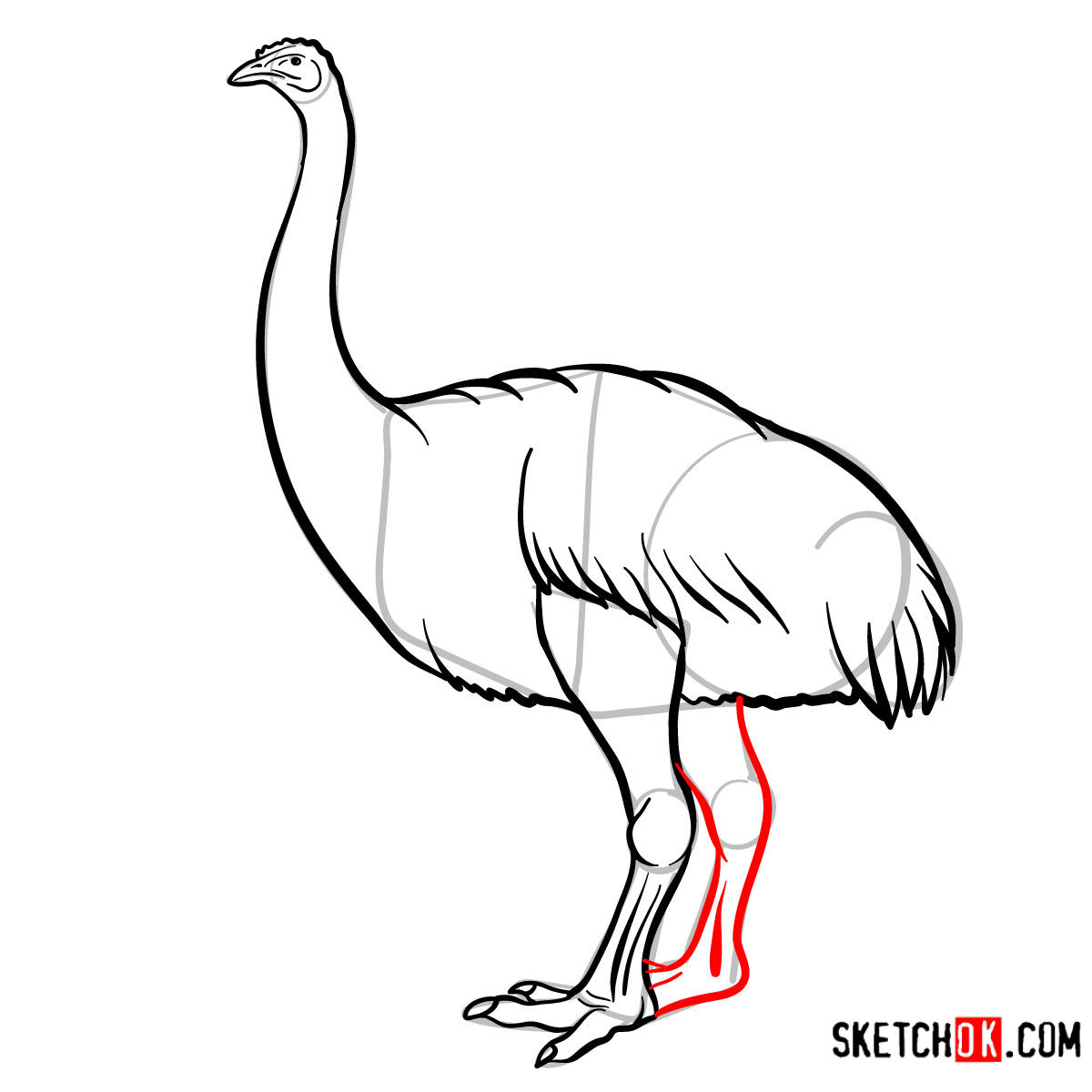 How to draw a Moa | Extinct Animals - step 10