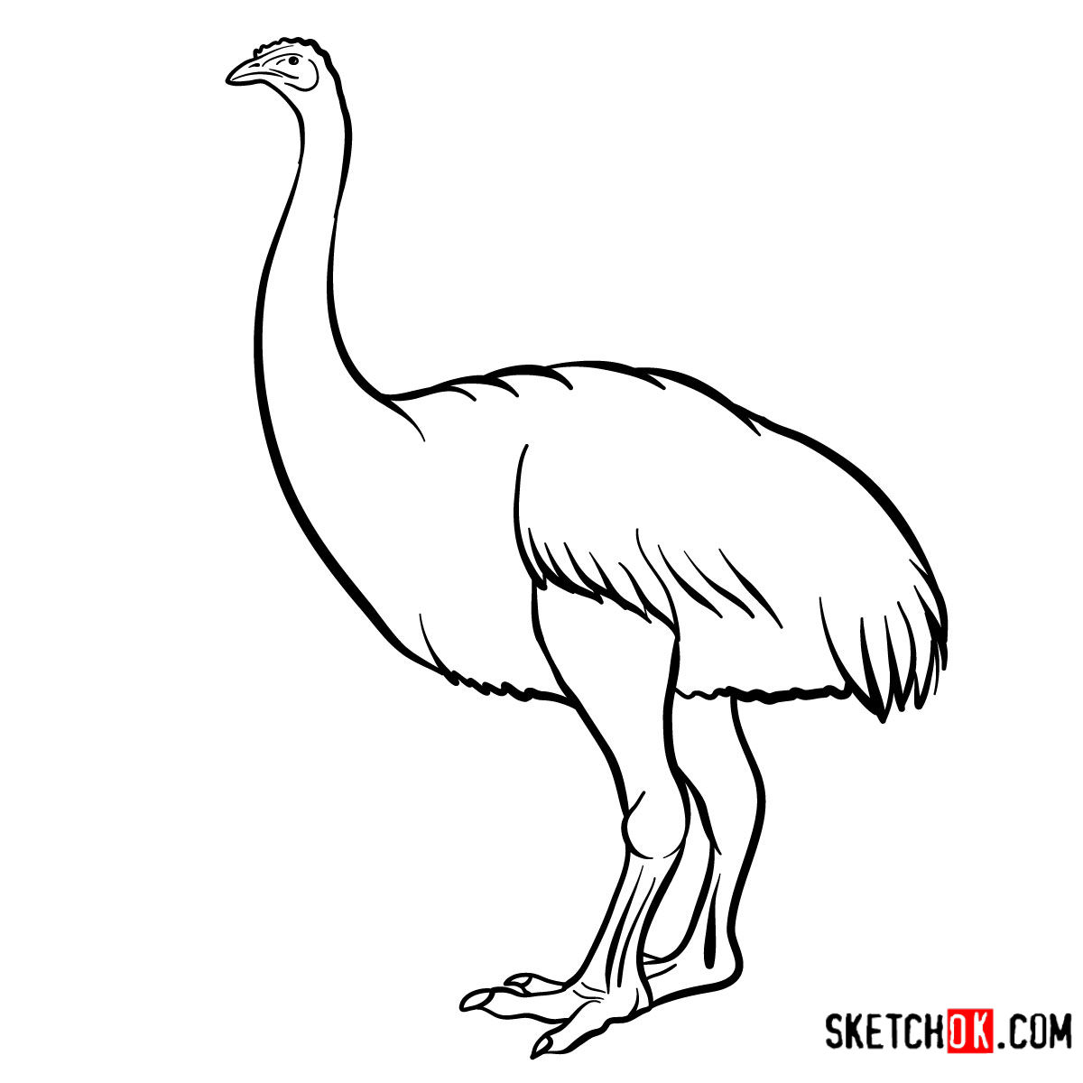 How to draw a Moa
