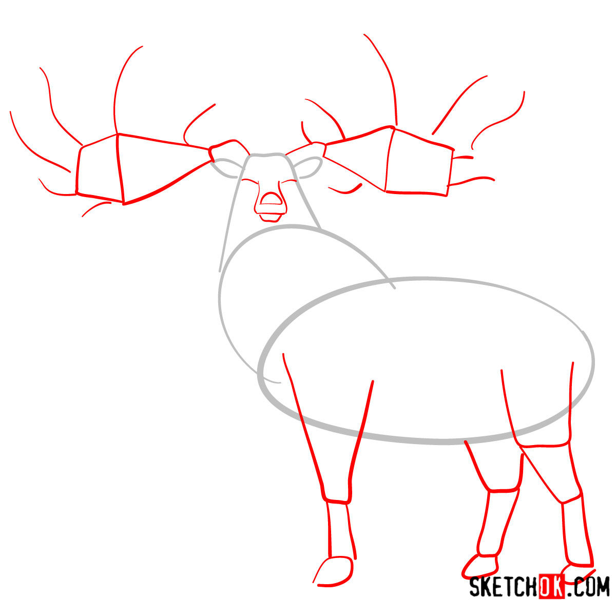 How to draw an Irish elk | Extinct Animals - step 02