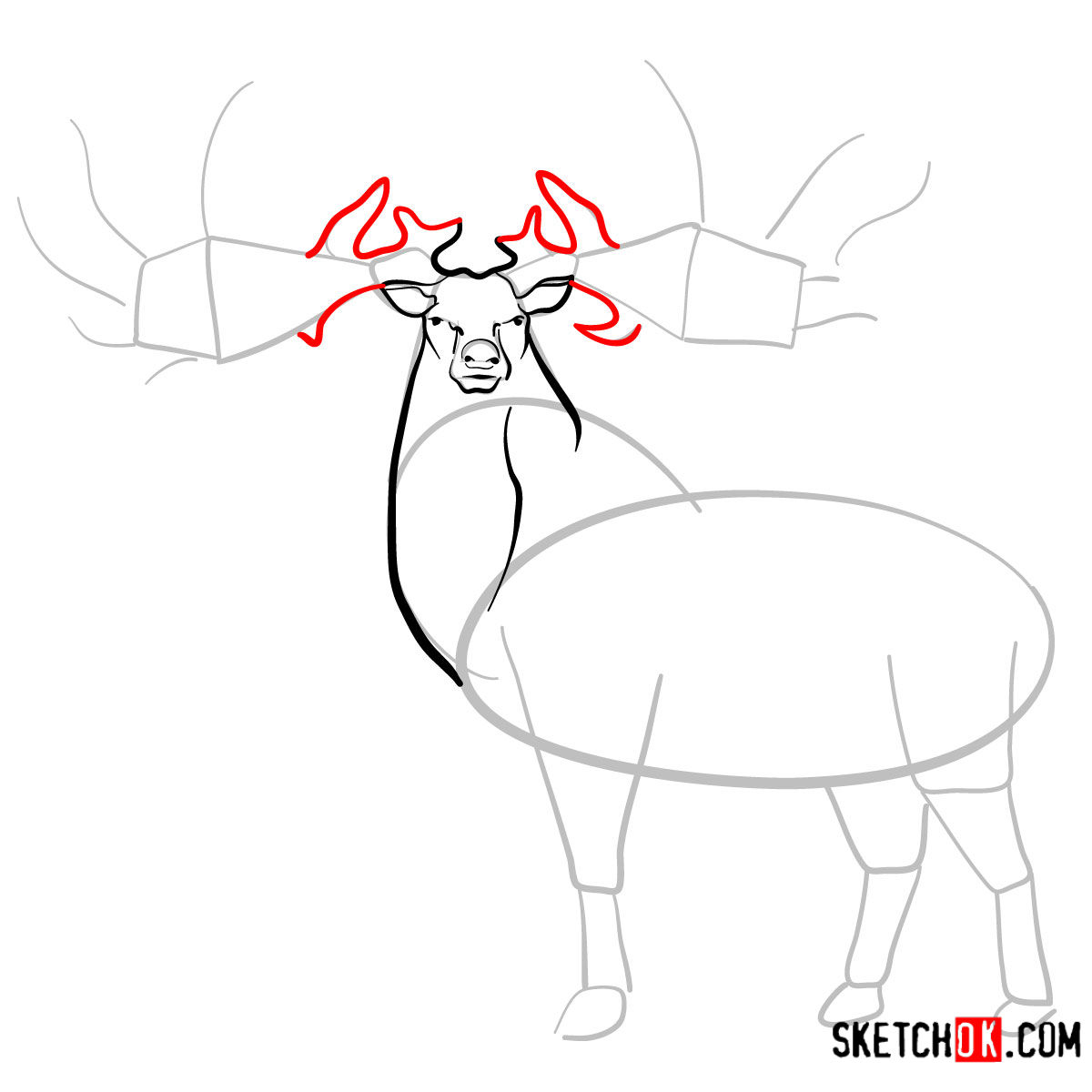 How to draw an Irish elk | Extinct Animals - step 06