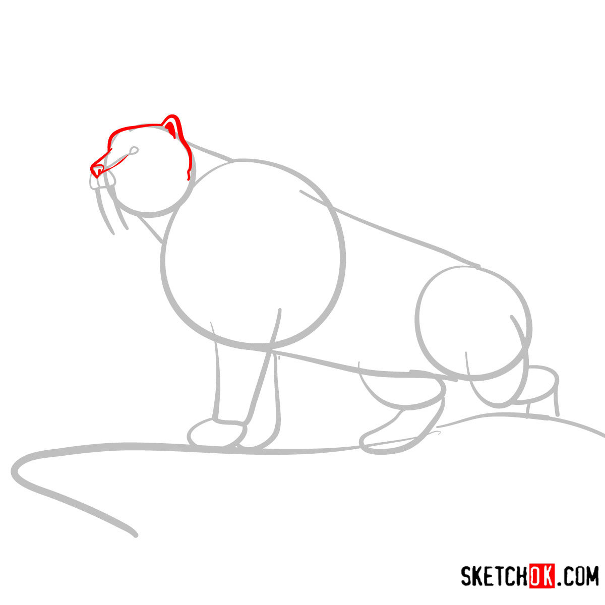 How to draw a Sabre Tooth beast | Extinct Animals - step 03