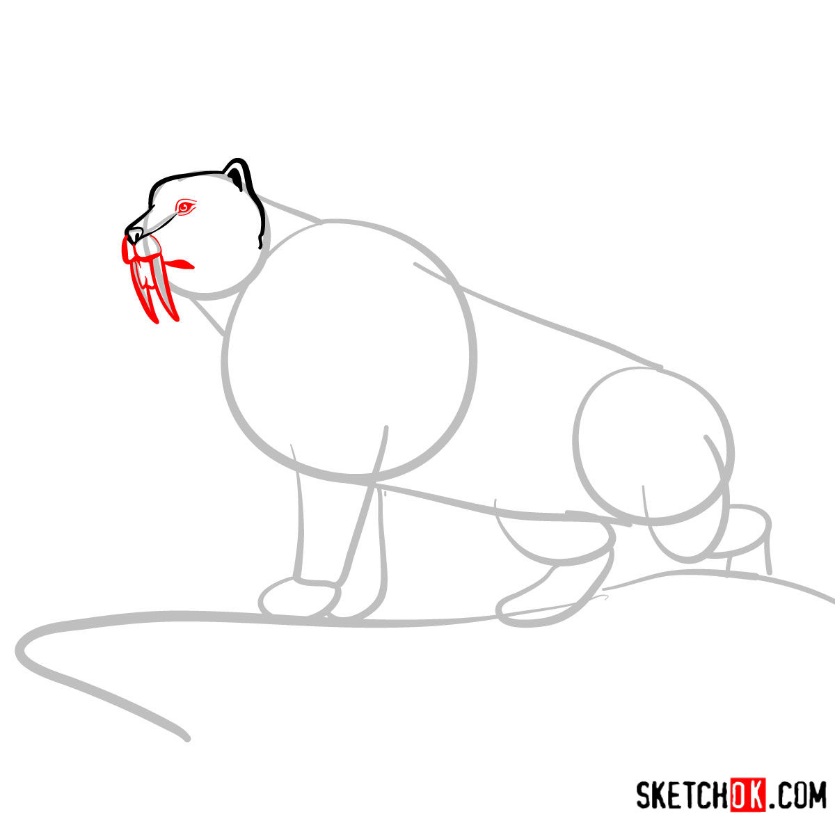 How to draw a Sabre Tooth beast | Extinct Animals - step 04
