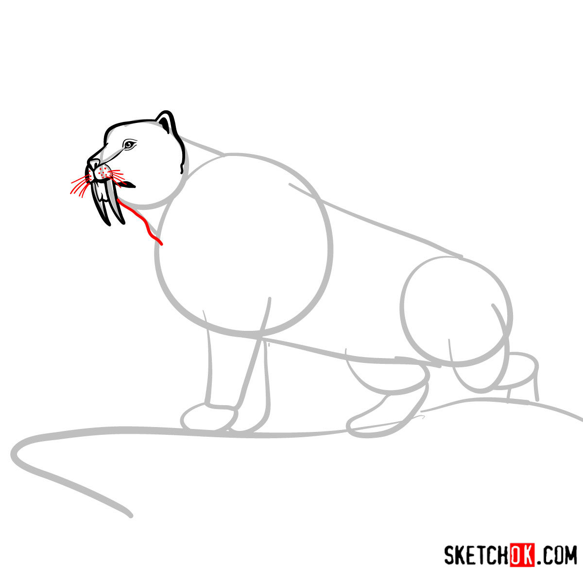 How to draw a Sabre Tooth beast | Extinct Animals - step 05
