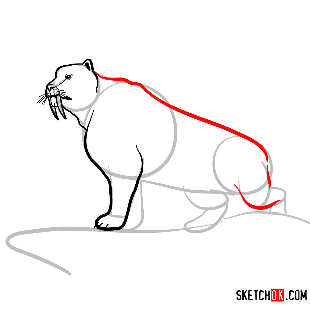 How to draw a Sabre Tooth beast | Extinct Animals - step 07
