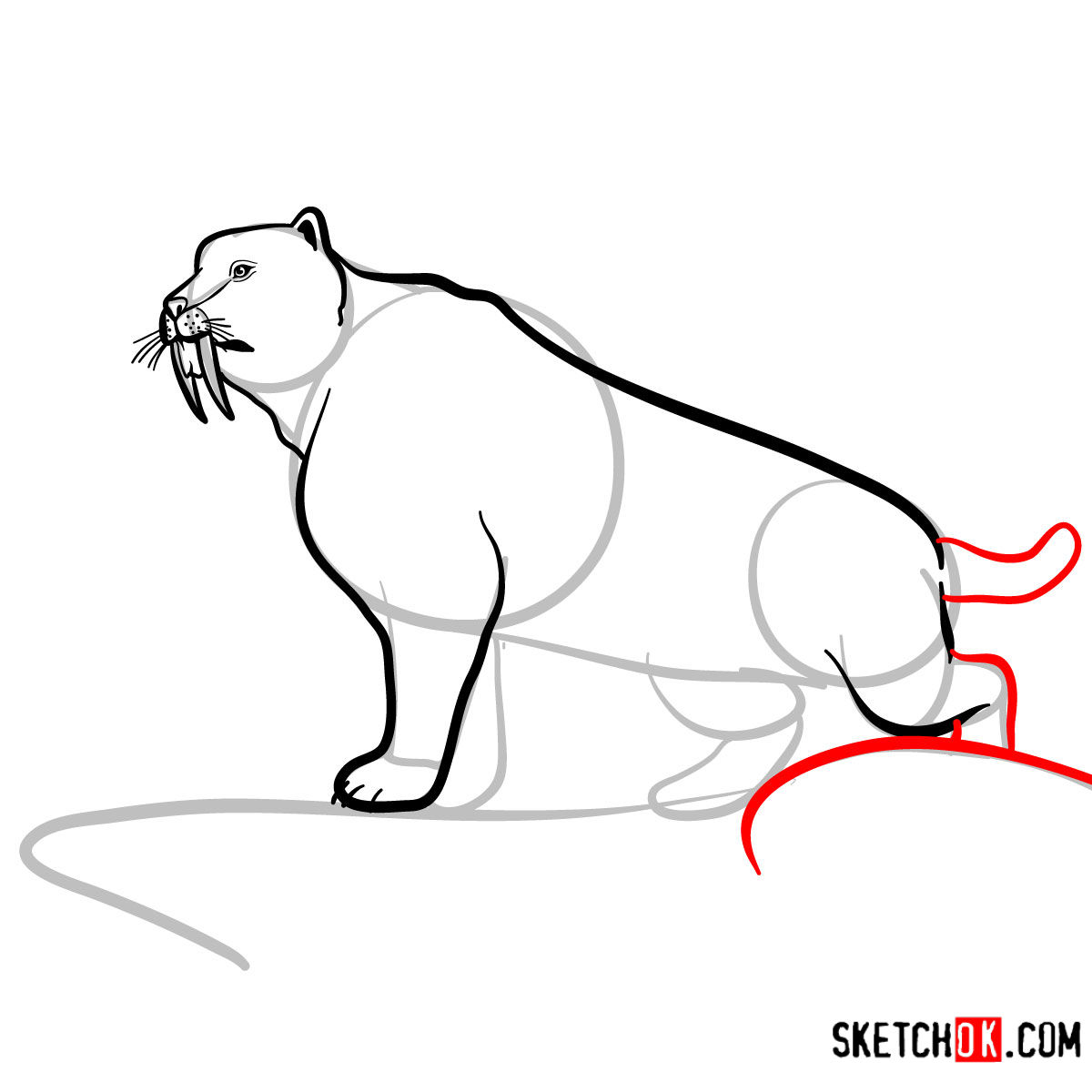 How to draw a Sabre Tooth beast | Extinct Animals - step 08