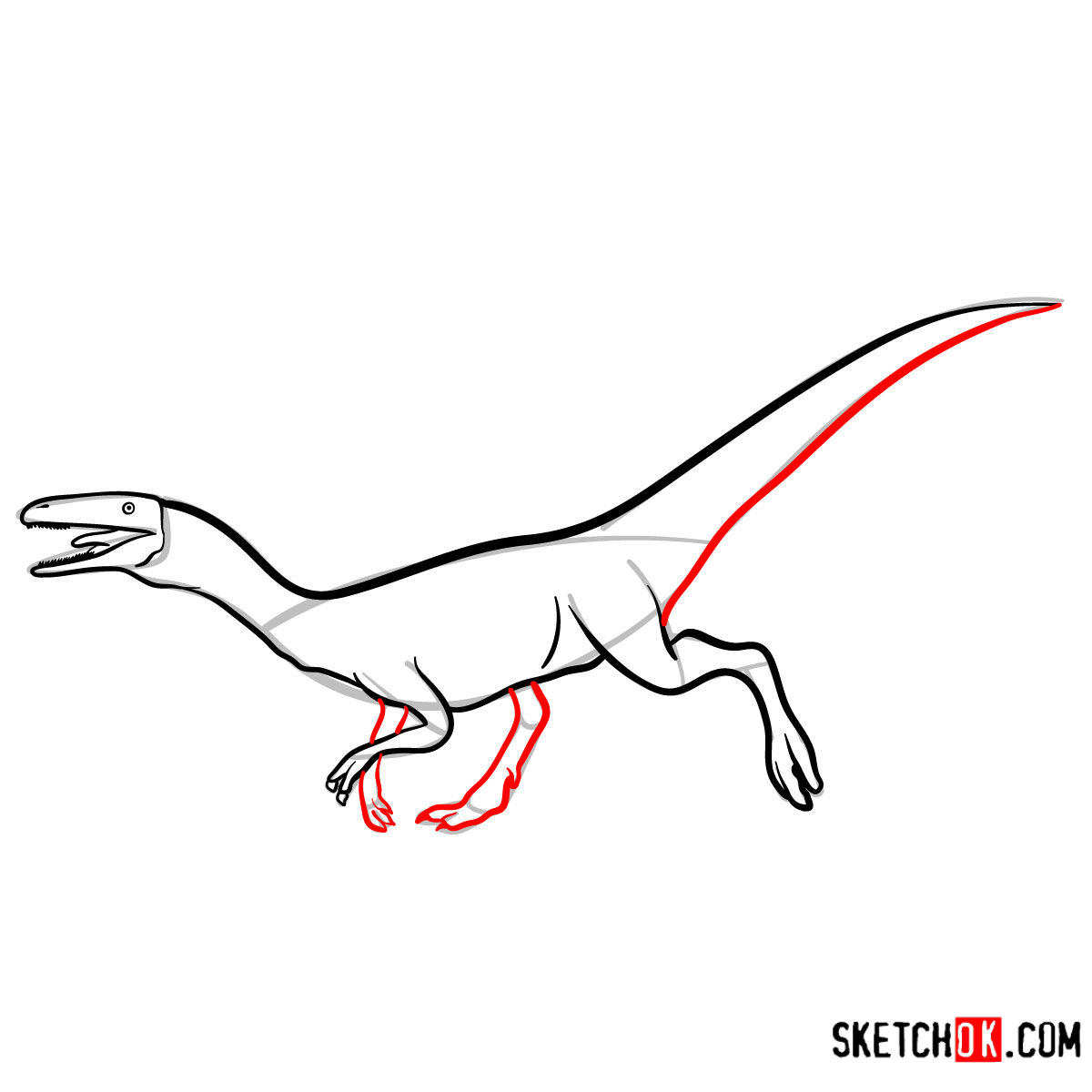 How to draw a Compsognathus | Extinct Animals - step 08