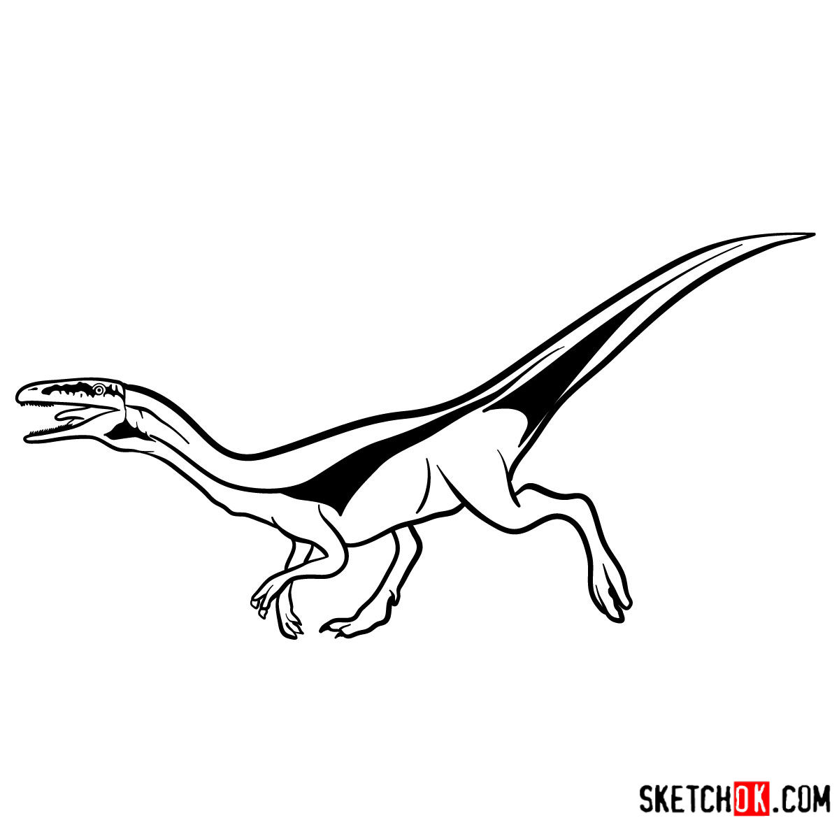 How to draw a Compsognathus