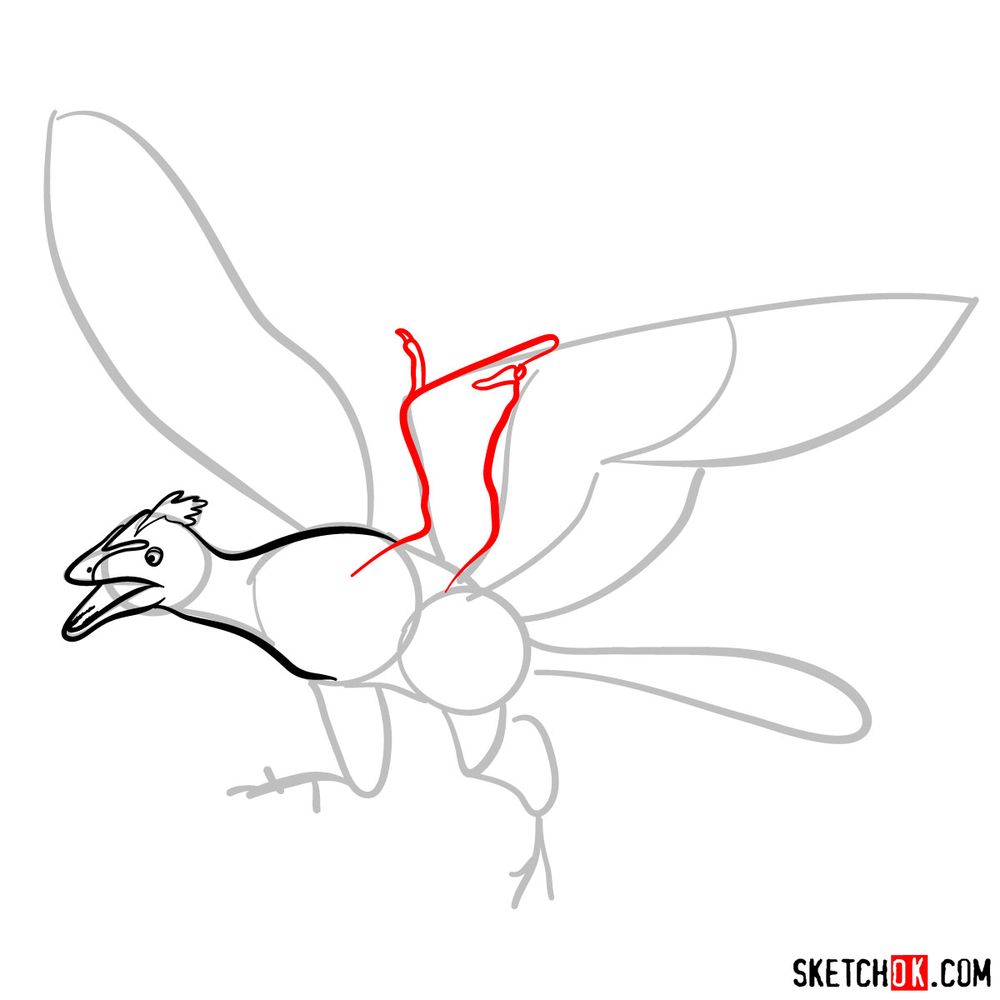 How to draw an archaeopteryx - step 05