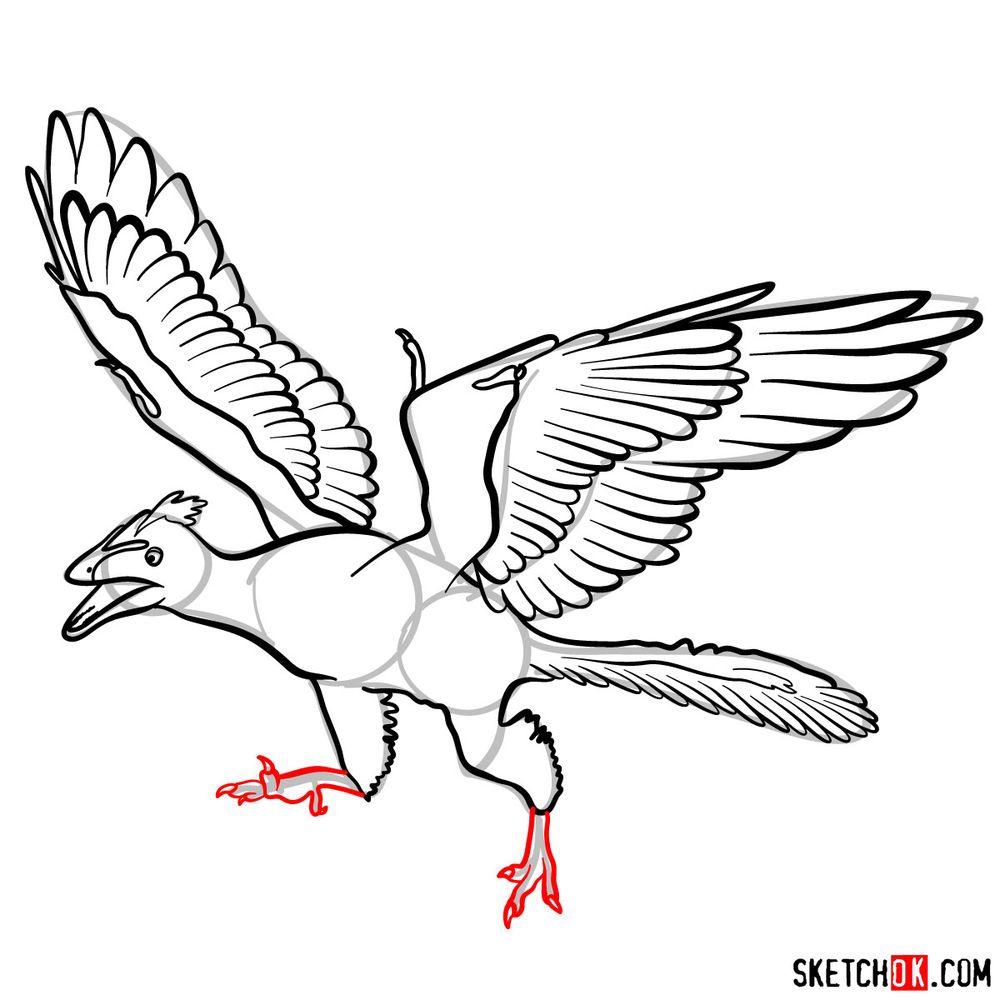 How to draw an archaeopteryx - step 11