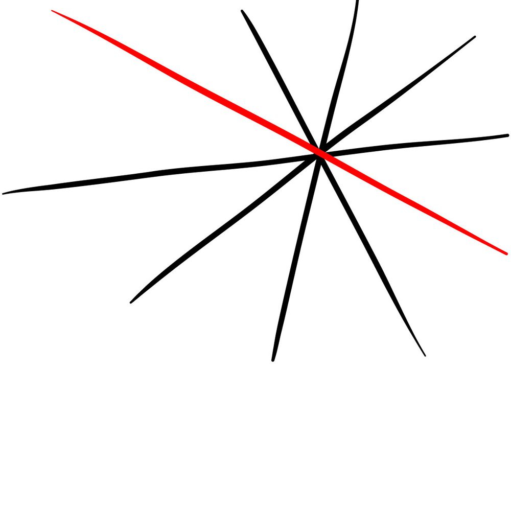 How to draw a Spider on a Web - step 03