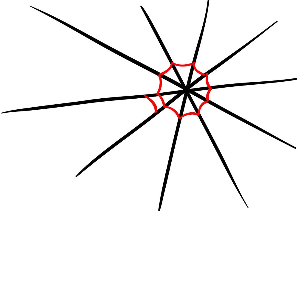 How to draw a Spider on a Web - step 04