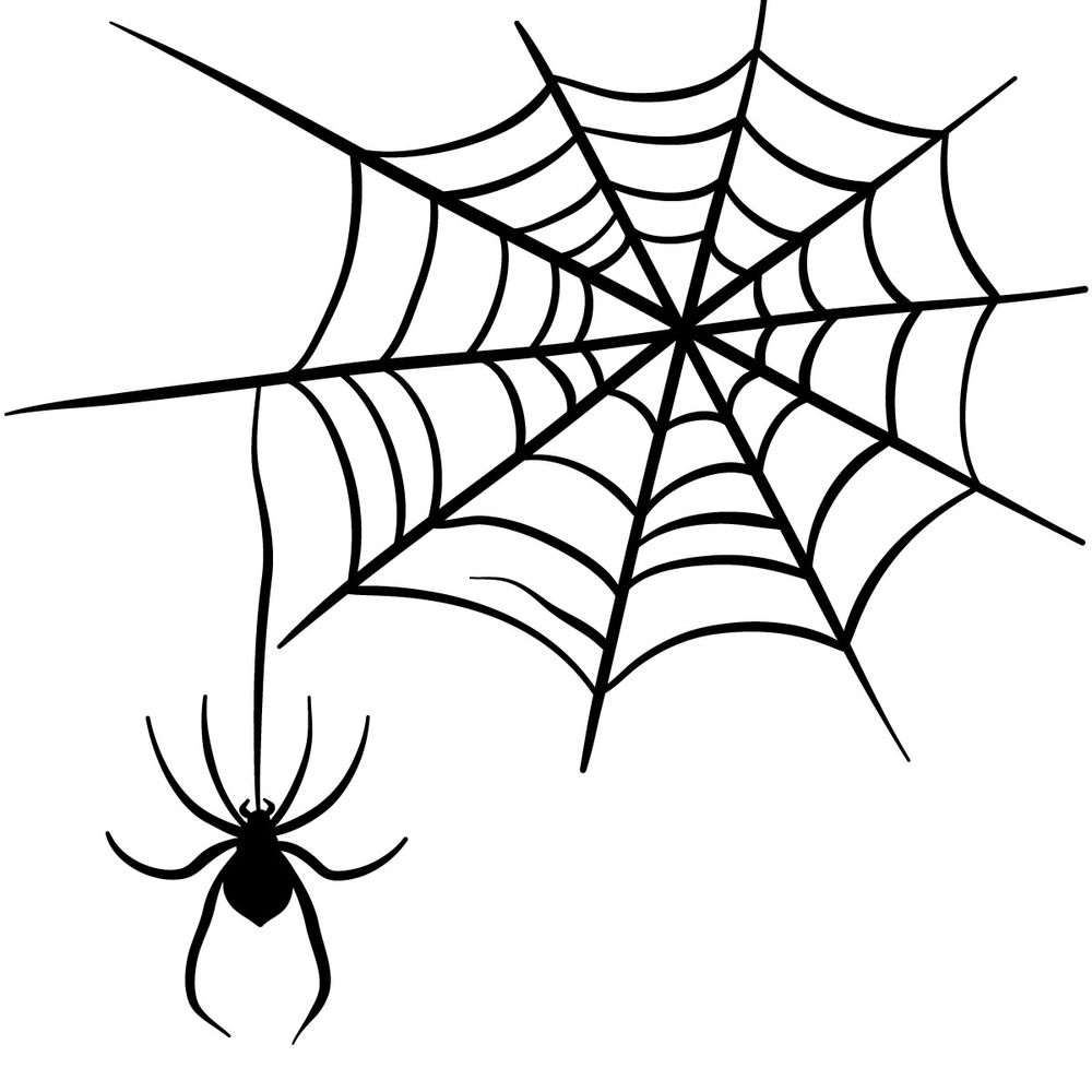 How to draw a Spider on a Web