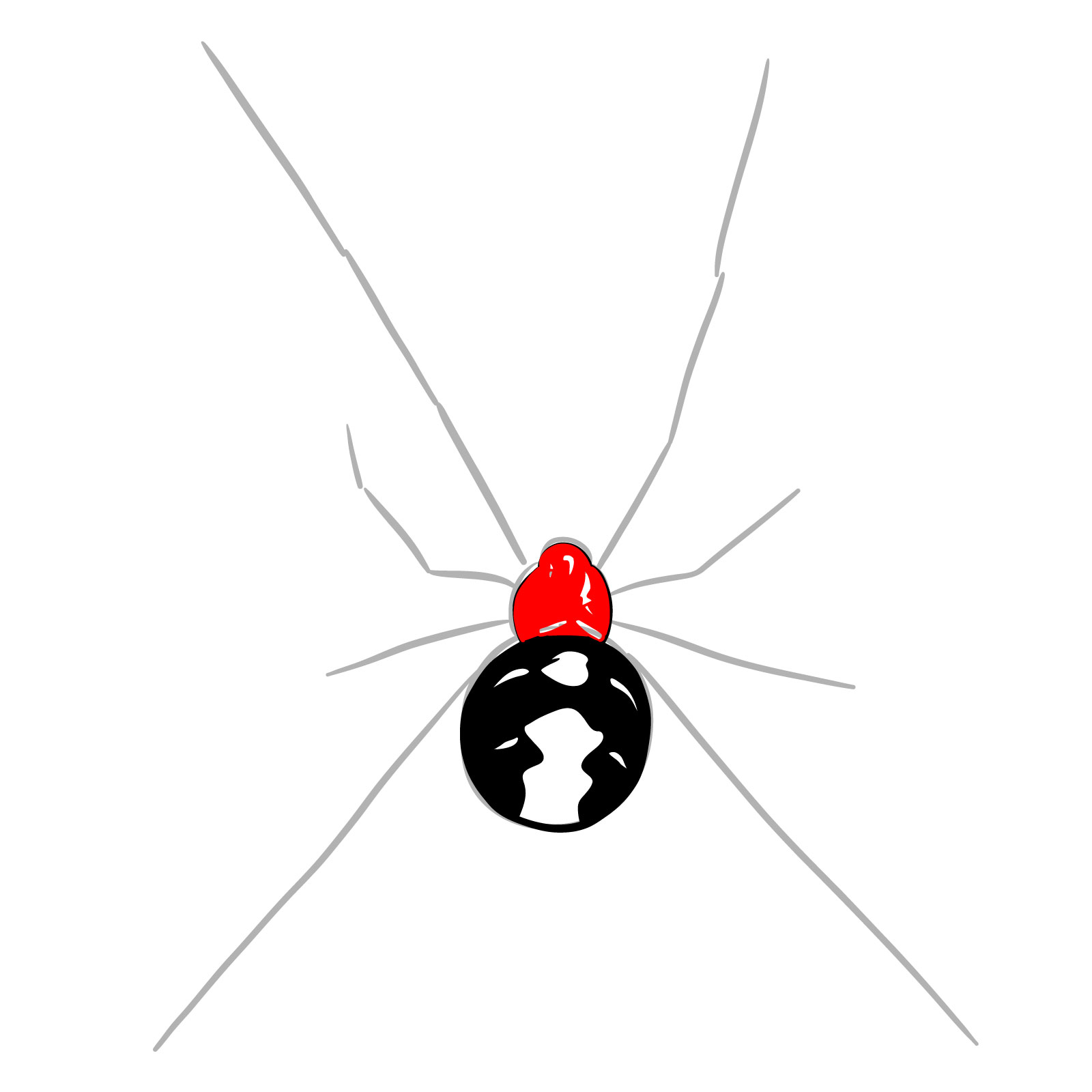 How to draw a Black Widow Spider - step 08