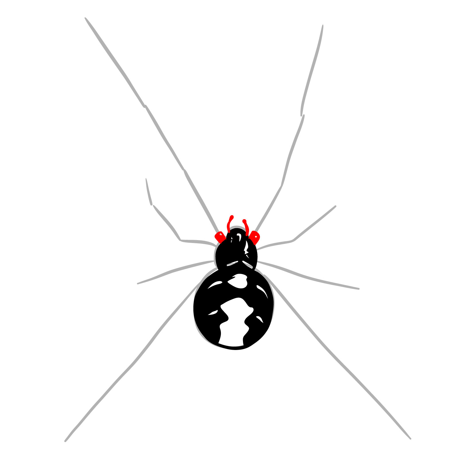How to draw a Black Widow Spider - step 09