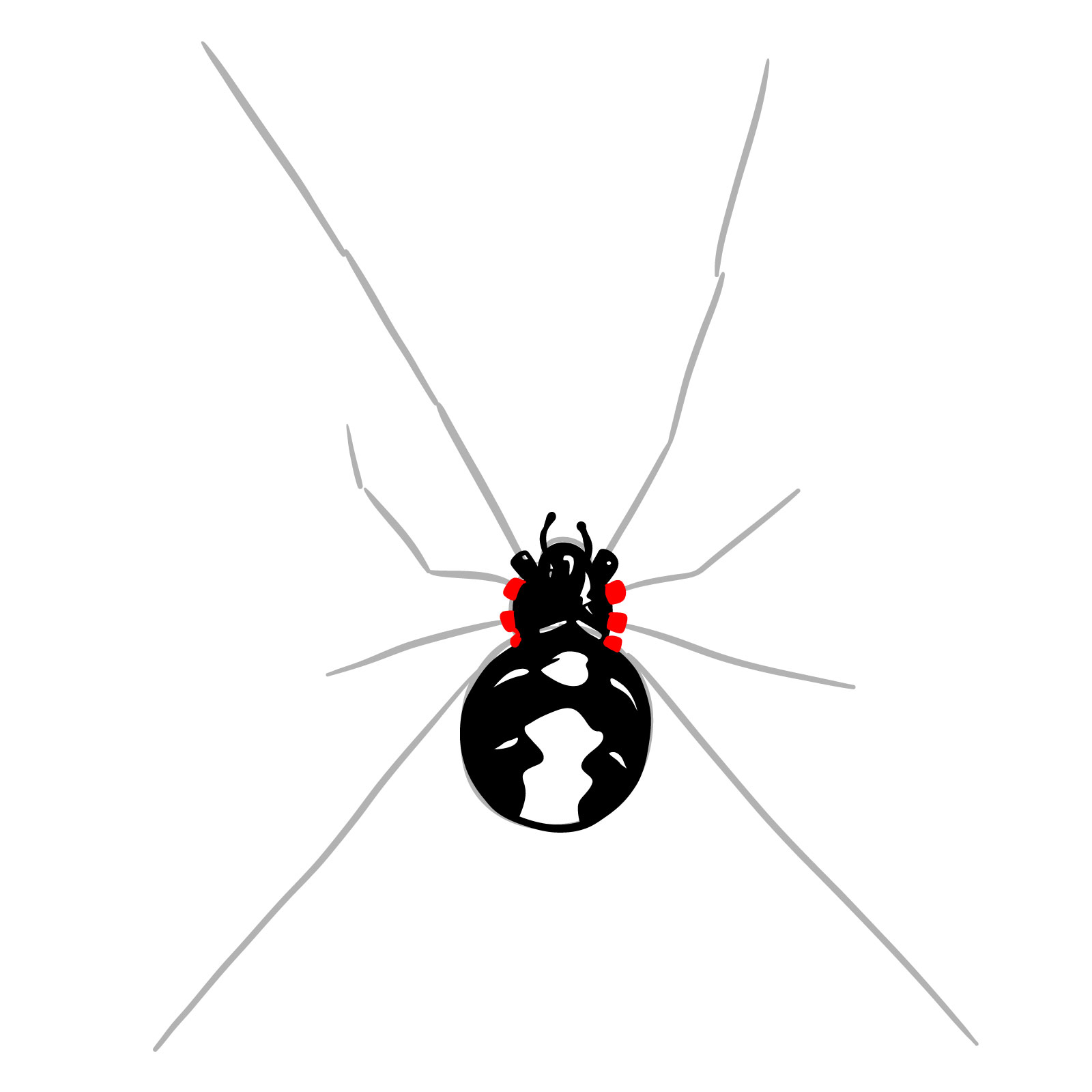 How to draw a Black Widow Spider - step 10