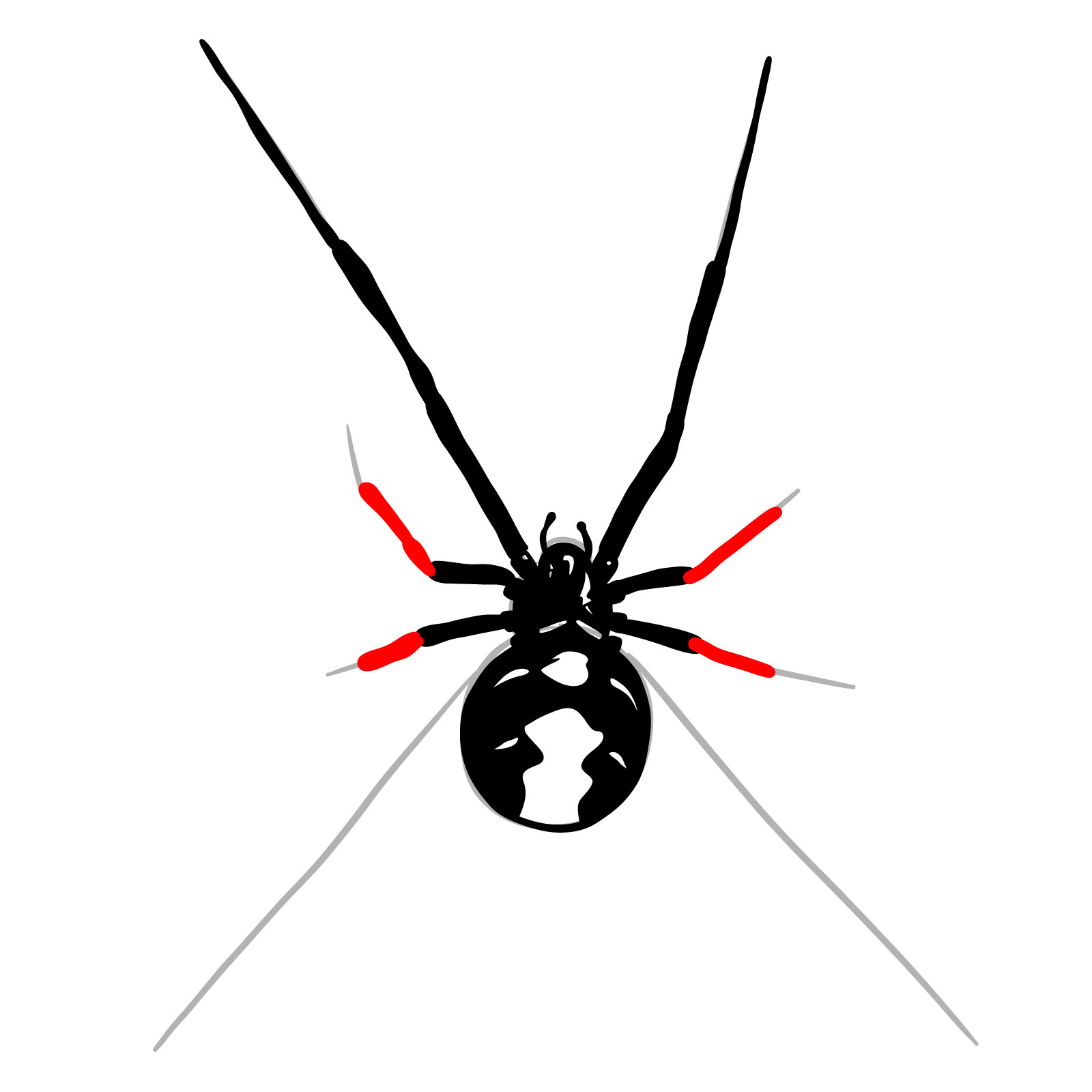How to draw a Black Widow Spider - step 15