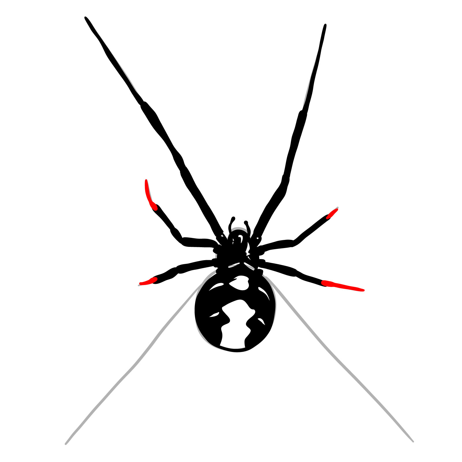 How to draw a Black Widow Spider - step 16