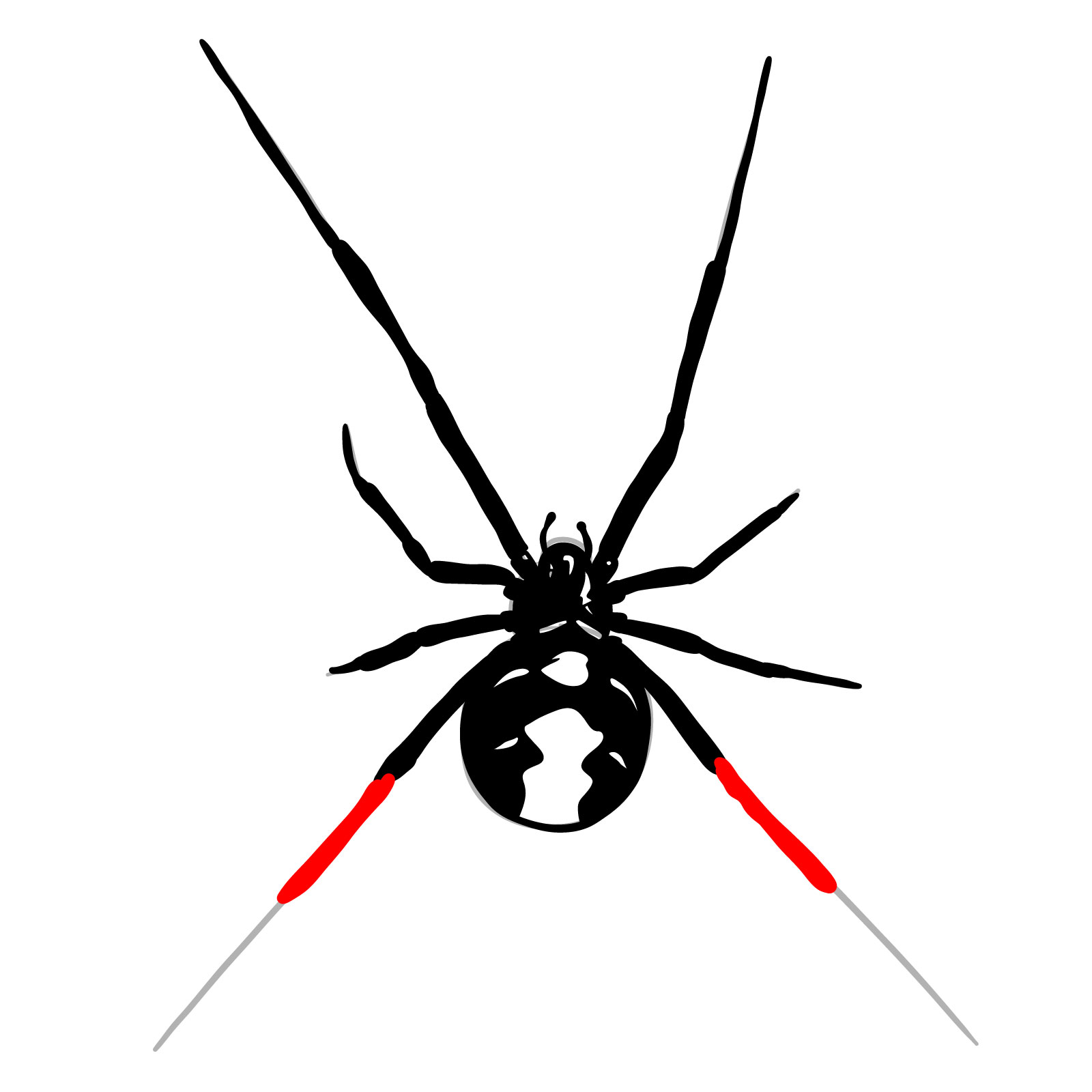 How to draw a Black Widow Spider - step 18