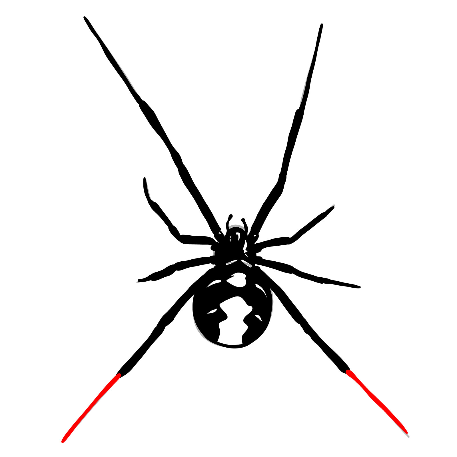 How to draw a Black Widow Spider - step 19