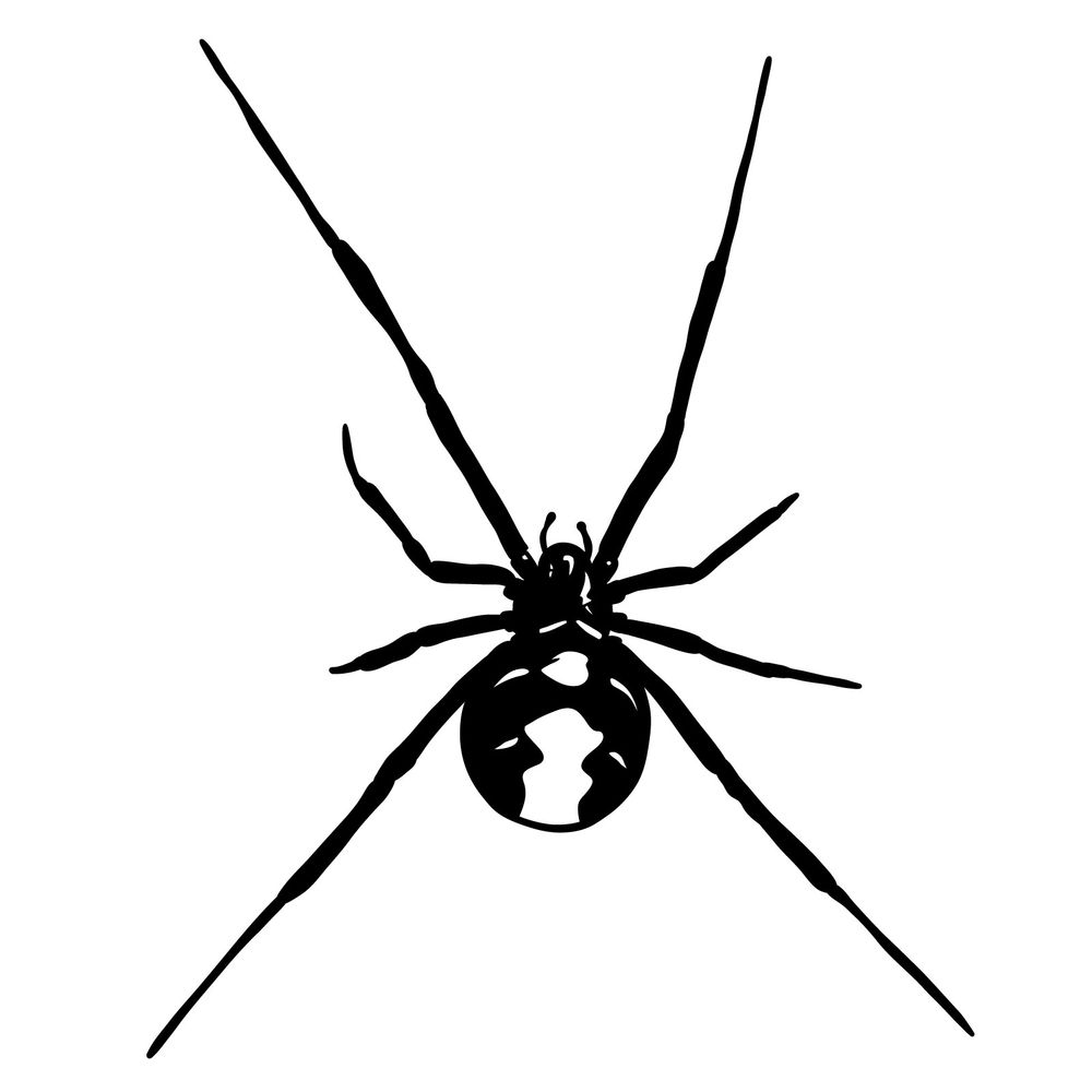 How to draw a Black Widow Spider