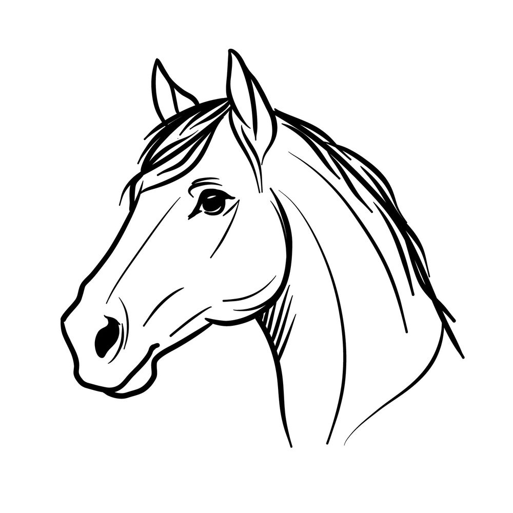 Learn How to Draw a Horse’s Head from a Side View Easily